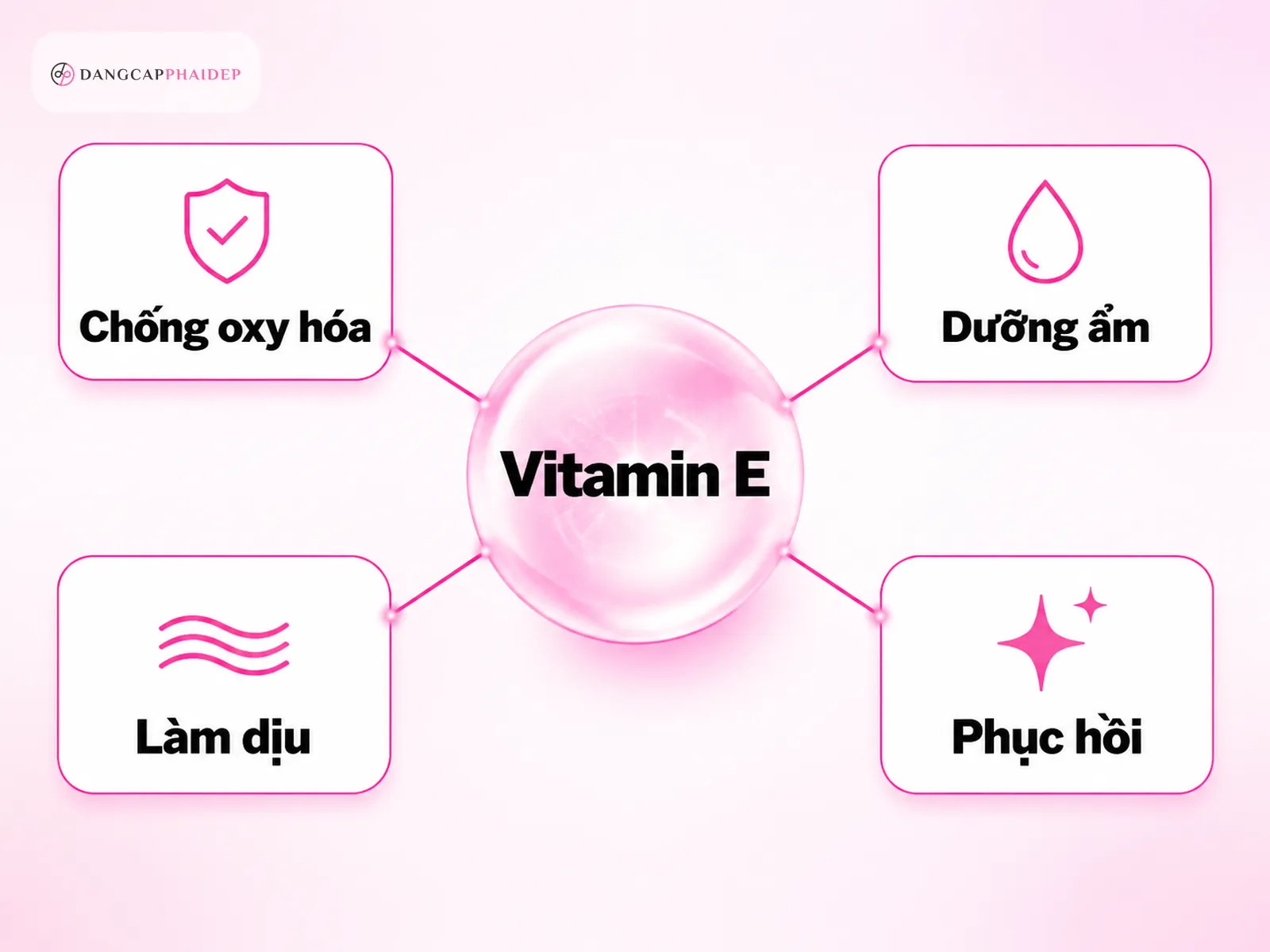 Infographic 4 tác dụng vitamin E trên da: chống oxy hóa, dưỡng ẩm, làm dịu, phục hồi