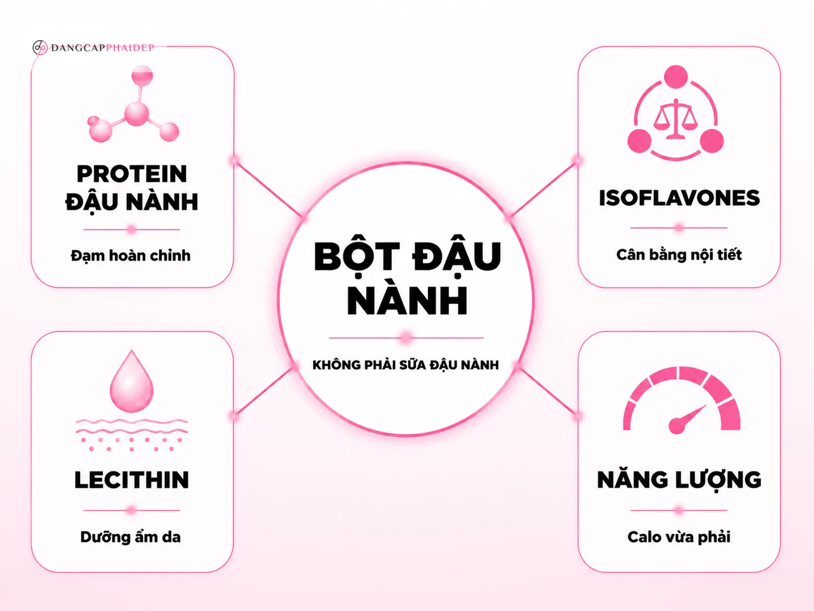 Infographic so sánh dưỡng chất bột đậu nành gồm protein, isoflavones, lecithin và năng lượng