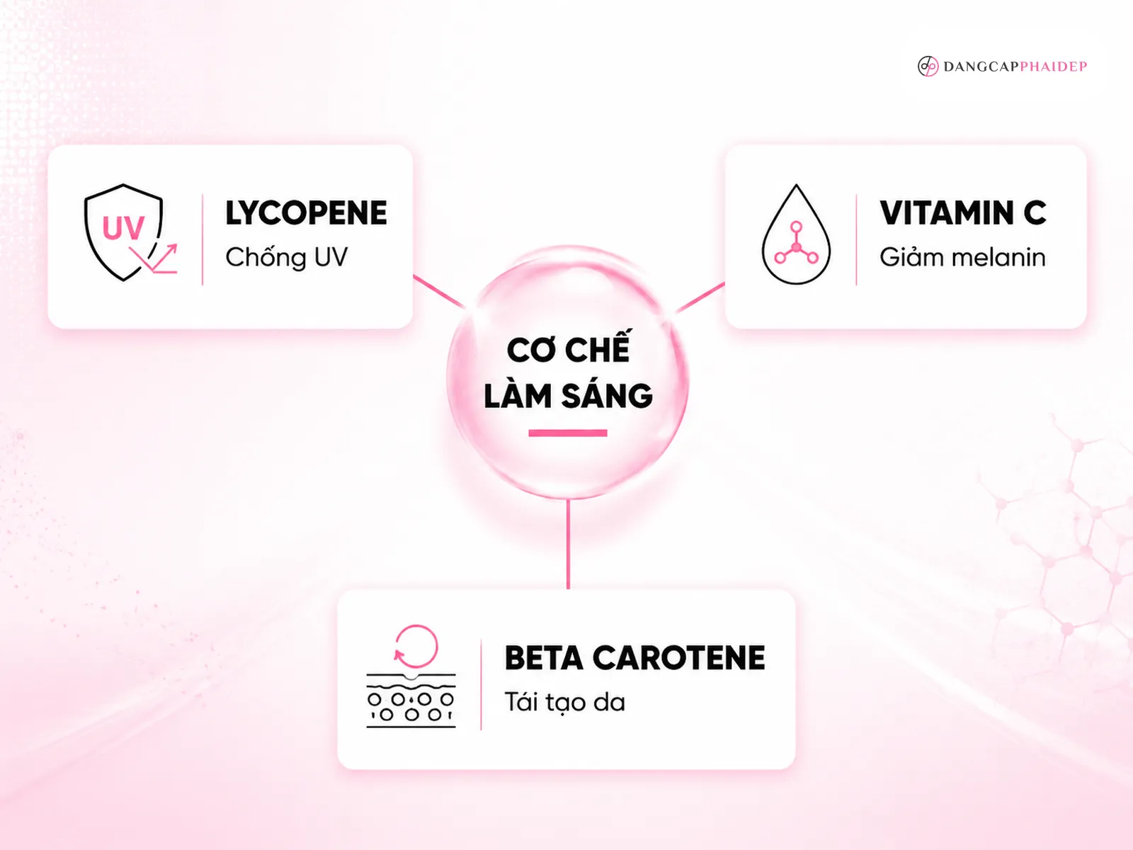 Cà chua có tác dụng gì với da? Thành phần và cơ chế làm sáng