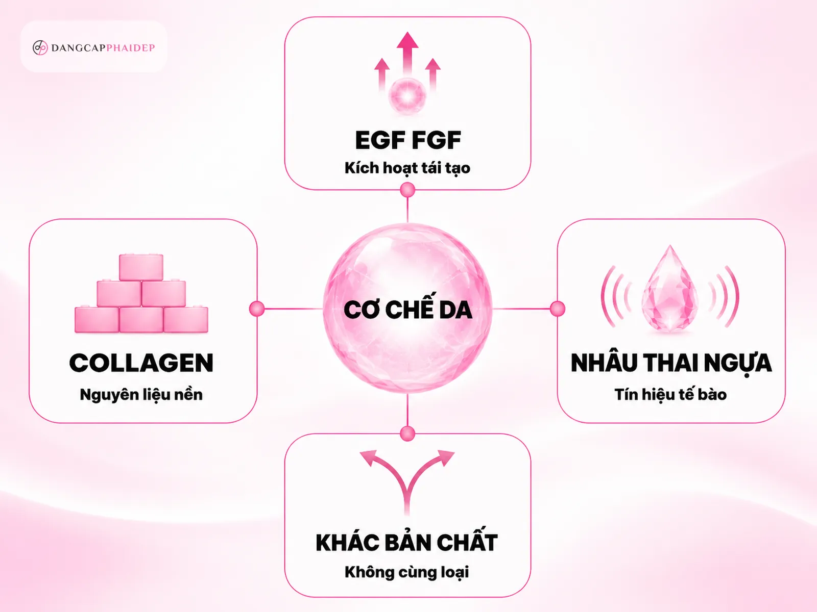 Collagen và nhau thai ngựa: bản chất khác nhau thế nào?