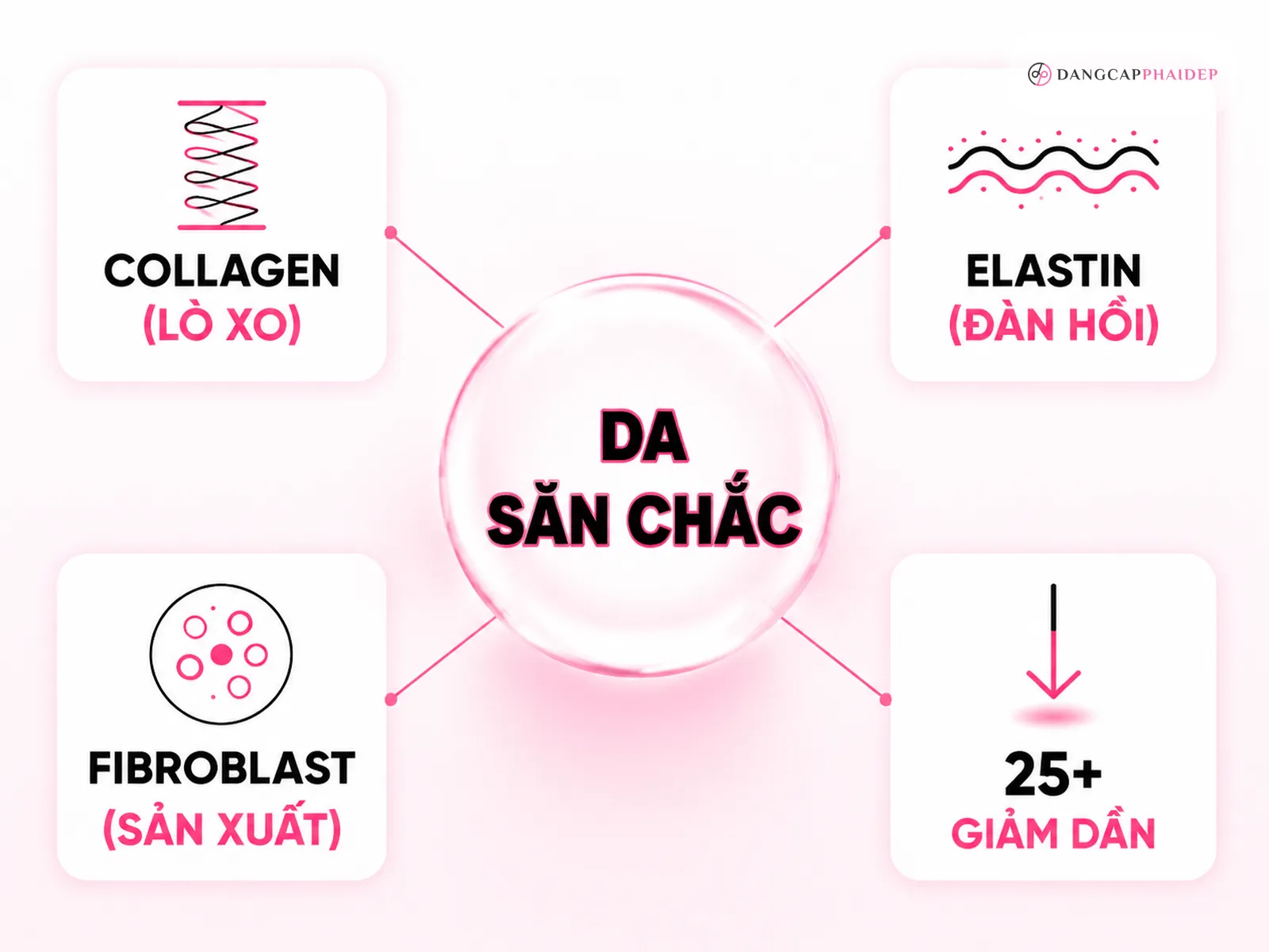 Da chảy xệ là gì và vì sao da chùng nhão theo năm tháng