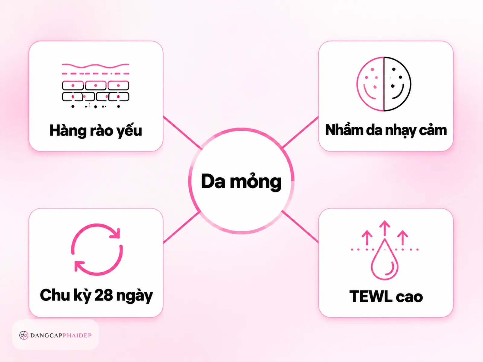 Da mỏng là tình trạng gì và vì sao điều này quyết định khả năng phục hồi