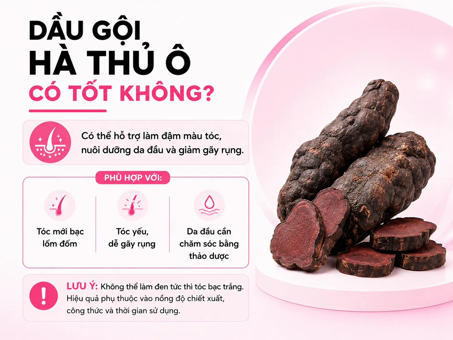 Dầu gội hà thủ ô có tốt không? Câu trả lời ngắn gọn trước khi đi sâu
