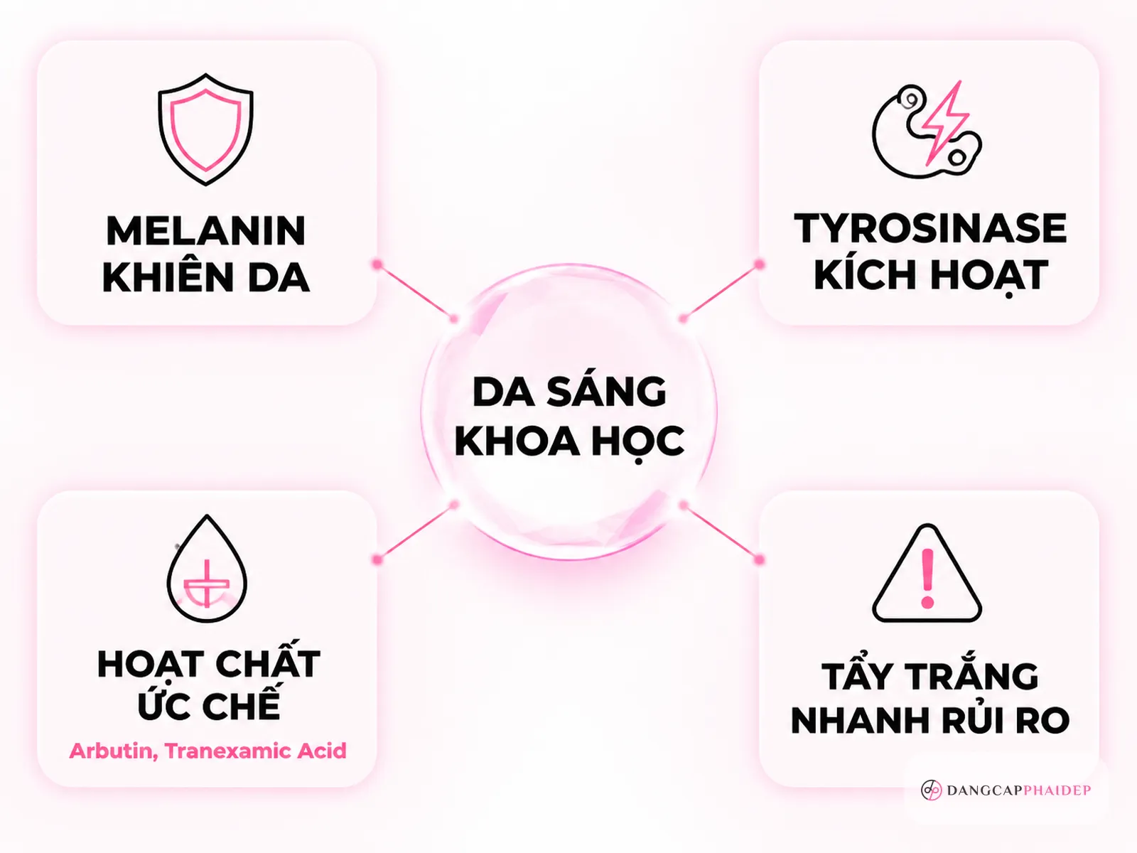Infographic cơ chế dưỡng trắng da Nhật melanin tyrosinase arbutin tranexamic acid
