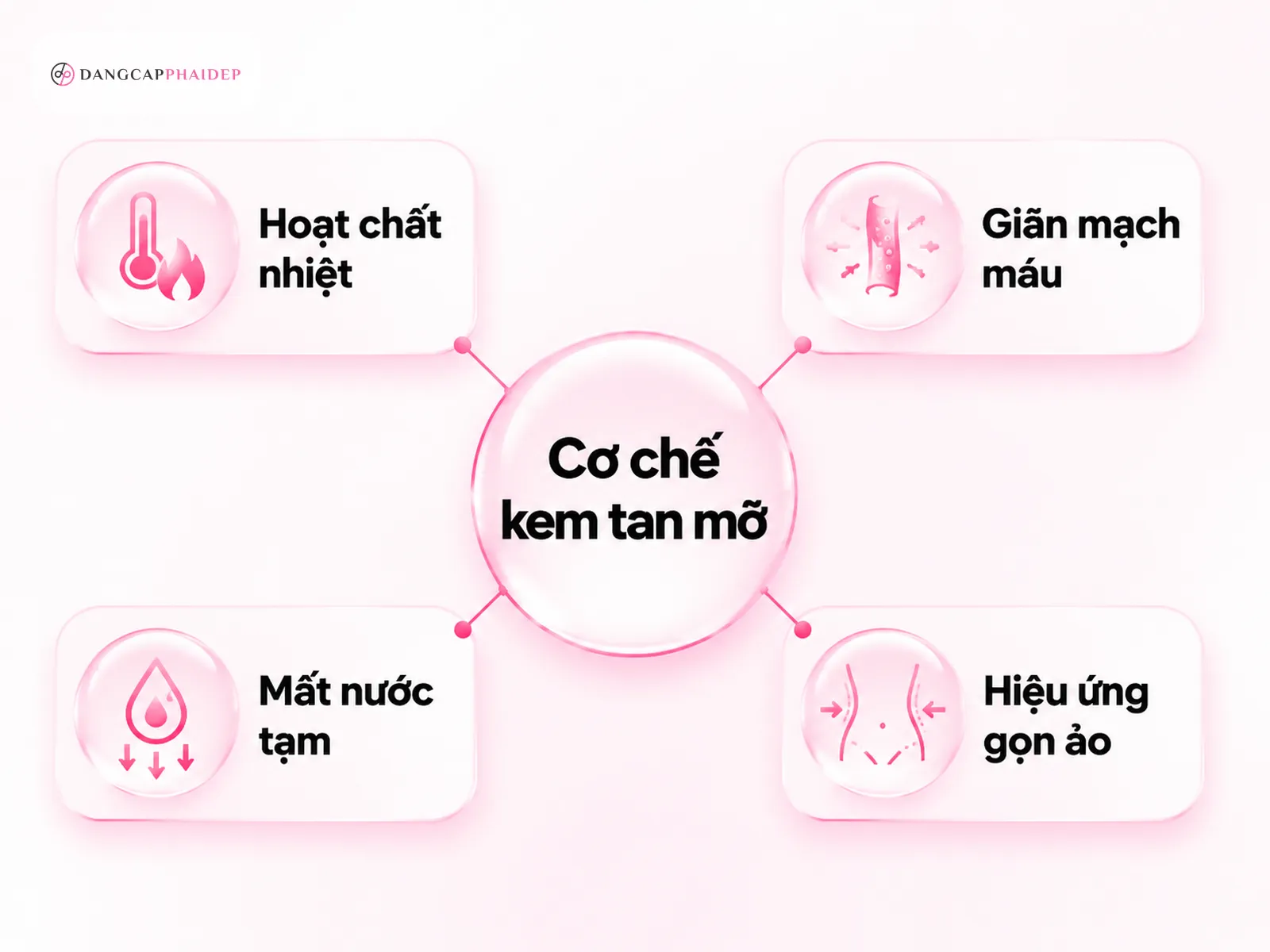 infographic cơ chế kem tan mỡ bụng hoạt chất sinh nhiệt giãn mạch