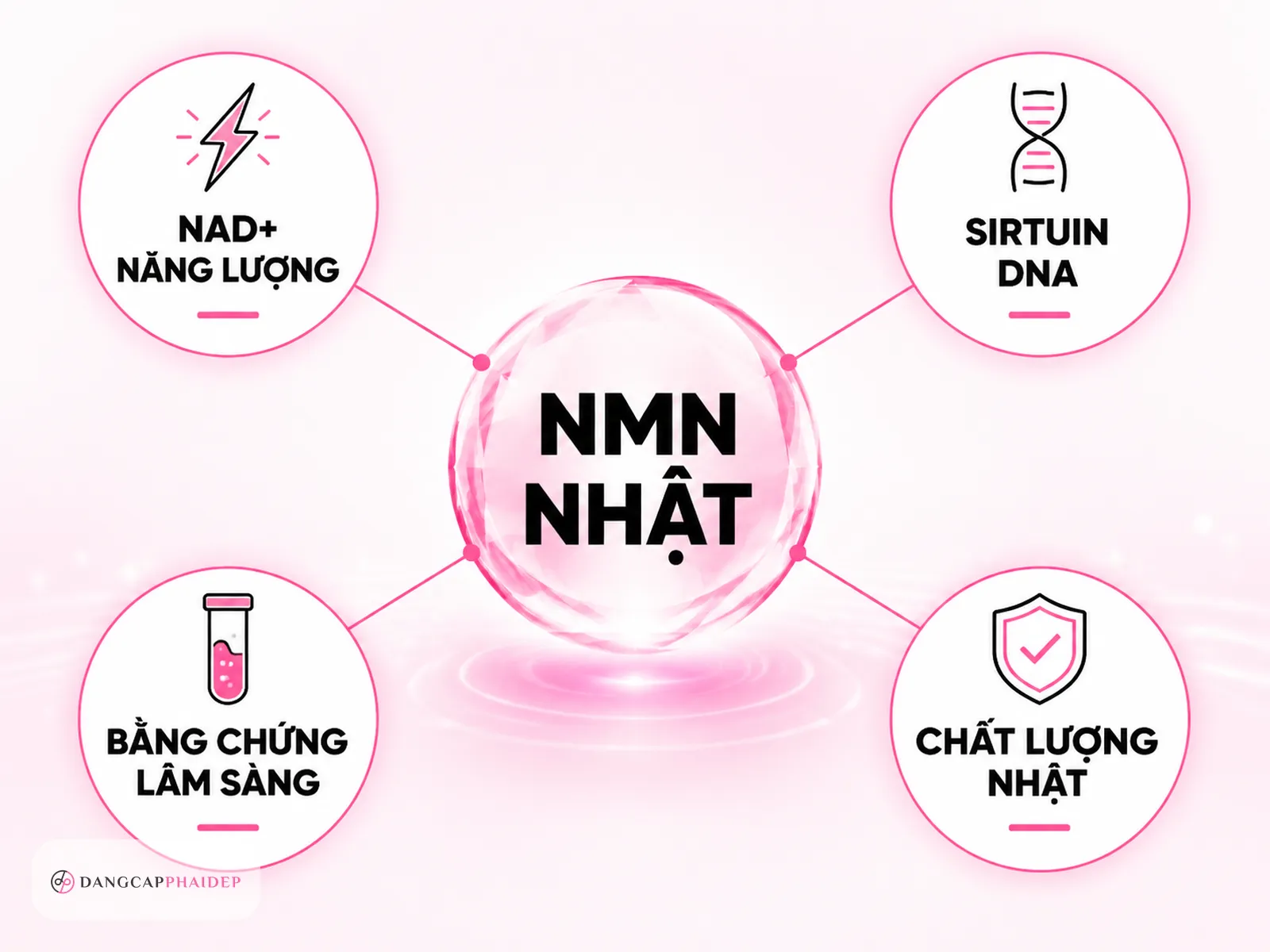NMN của Nhật là gì và vì sao được tin chọn cho mục tiêu chống lão hóa