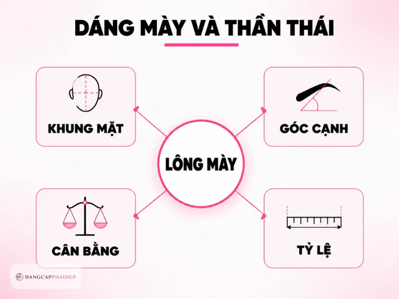 01-vi-sao-dang-long-may-quyet-dinh-than-thai-khuon-mat