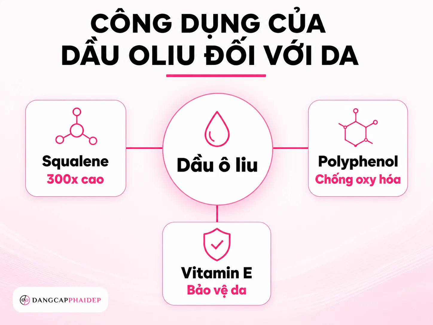 Infographic dầu ô liu Squalene Polyphenol Vitamin E cho da mặt