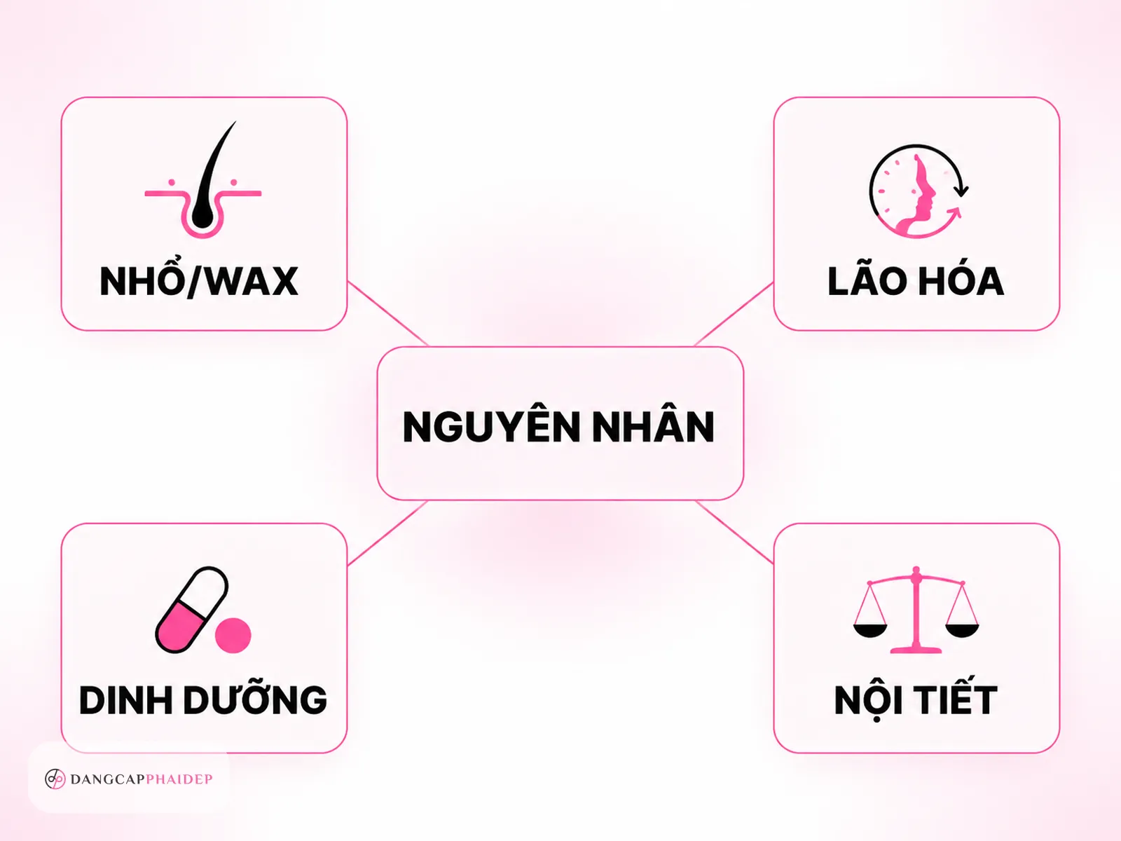 infographic nguyên nhân lông mày thưa yếu gồm nhổ wax lão hóa dinh dưỡng nội tiết
