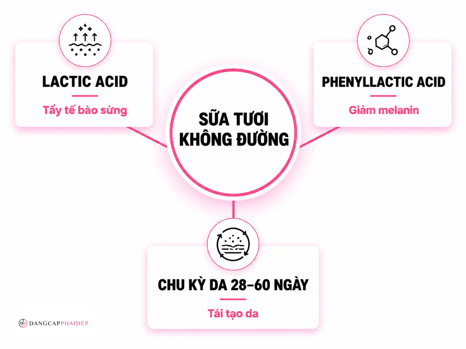 Vì sao sữa tươi không đường giúp da sáng hơn? Góc nhìn khoa học