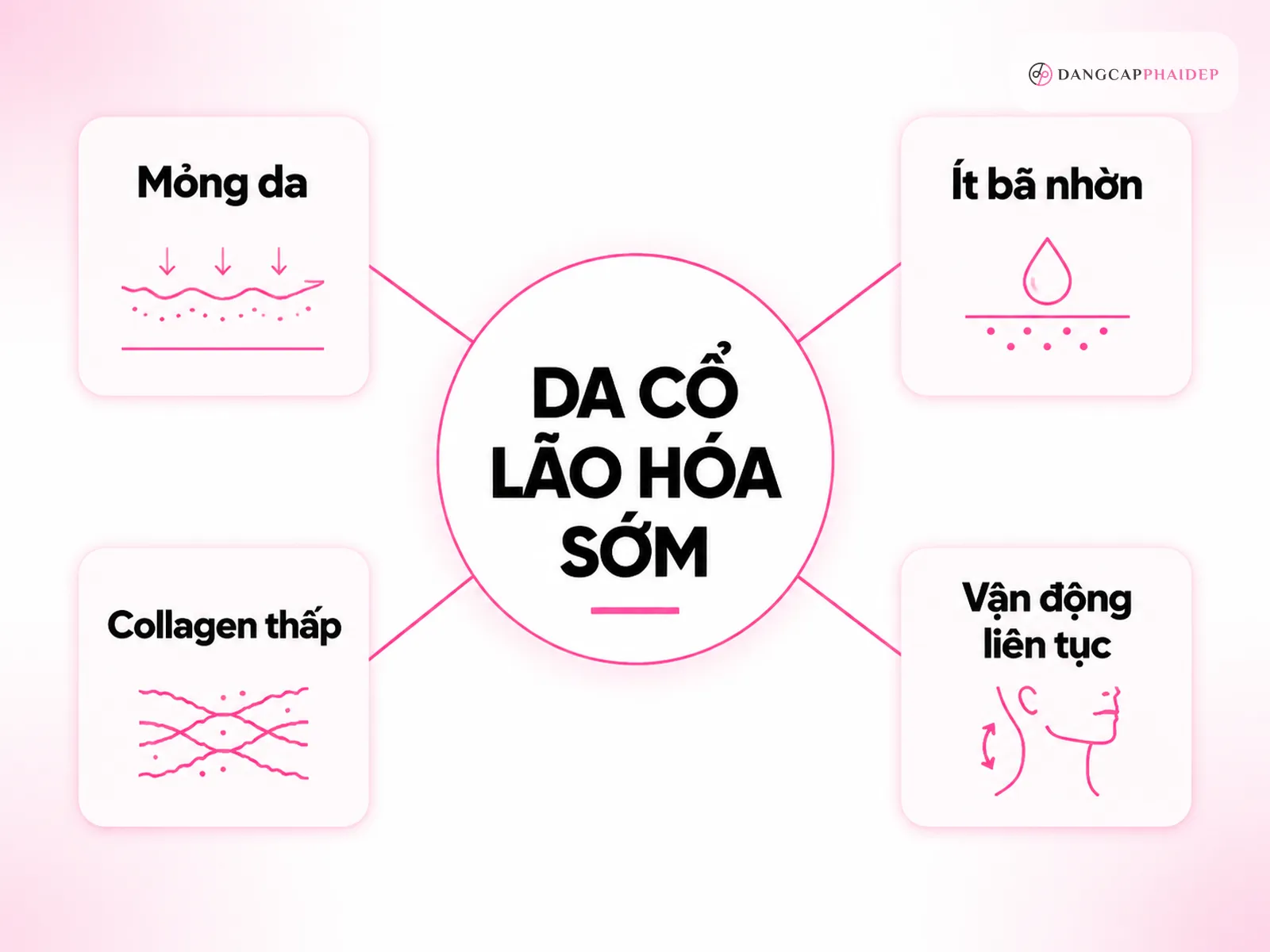 Vì sao vùng cổ thường tiết lộ tuổi thật sớm hơn khuôn mặt?