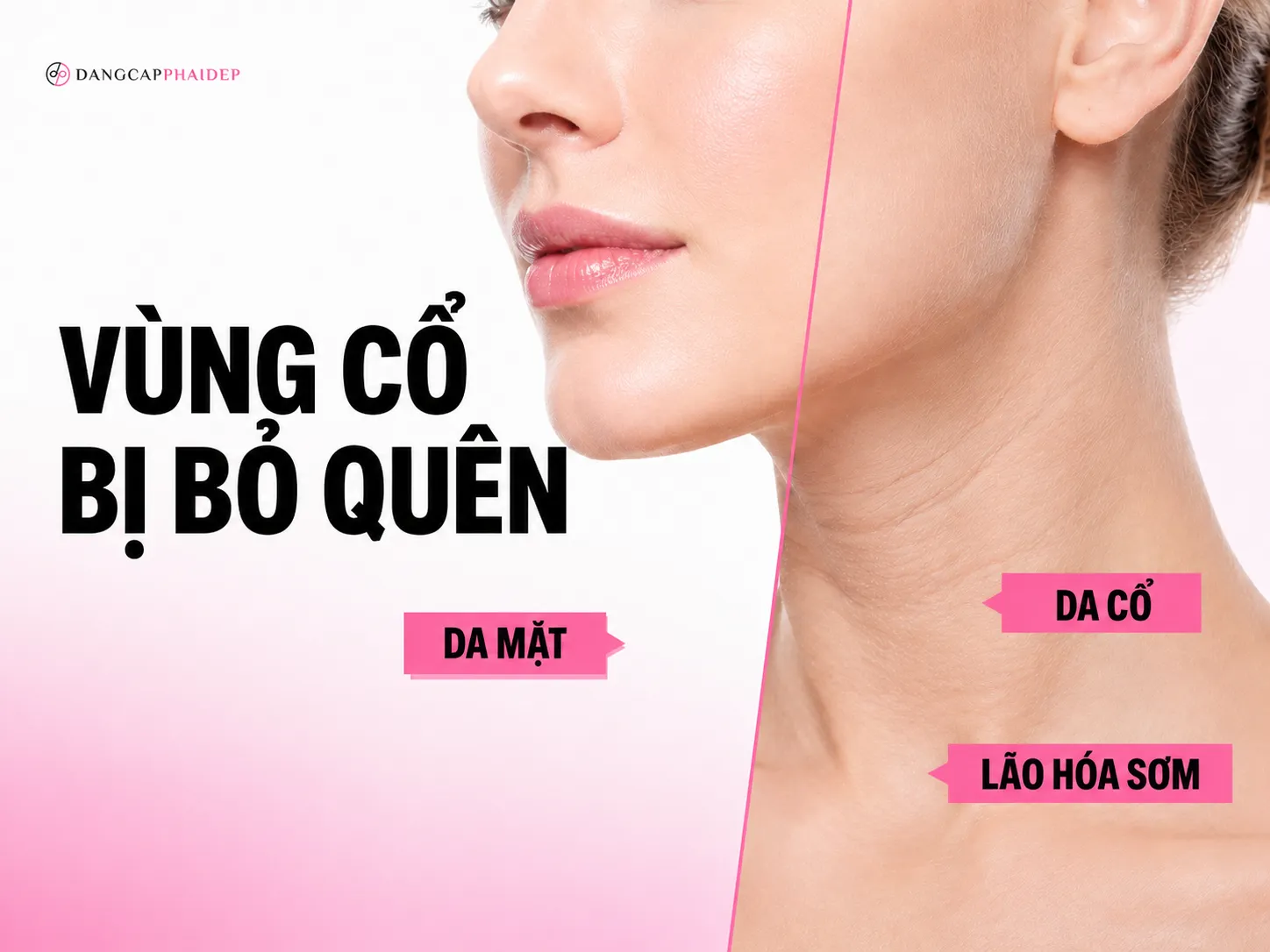 Vùng da bị bỏ quên nhiều nhất trong quy trình chăm sóc