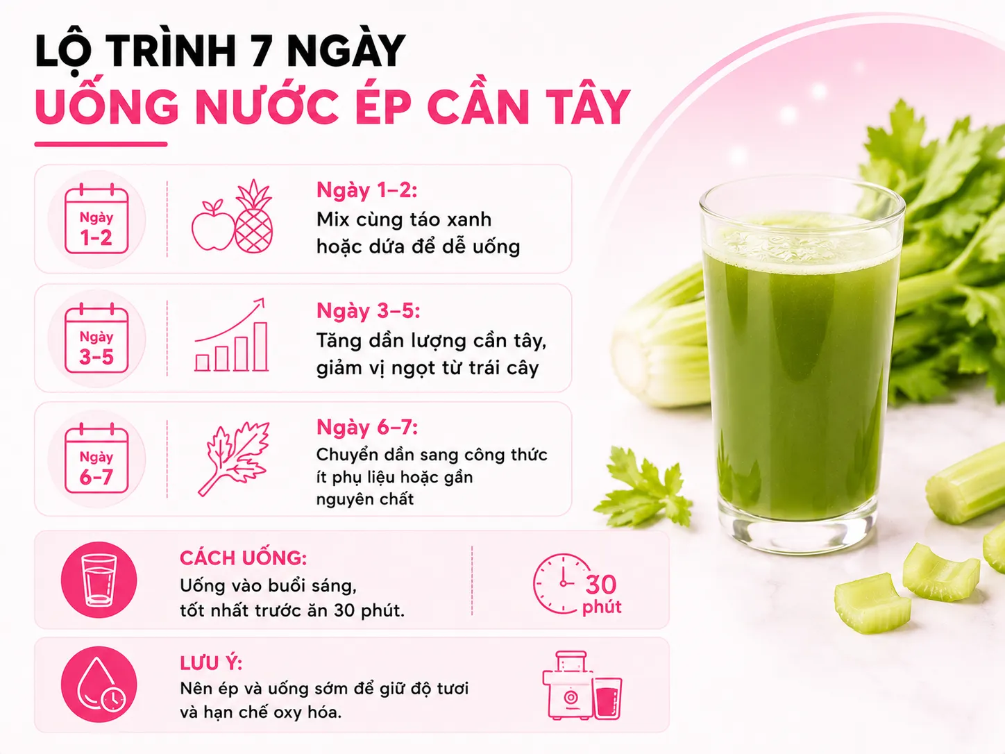 Infographic lộ trình uống nước ép cần tây 4 giai đoạn từ ngọt hoá đến nguyên chất
