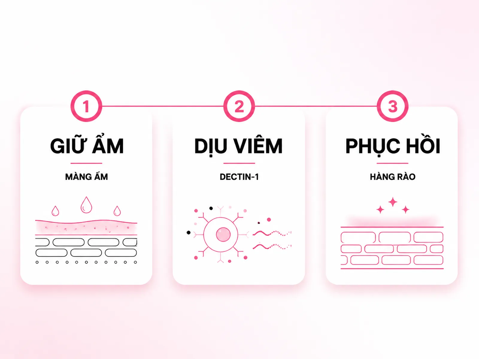 Beta-Glucan có công dụng gì trên da? Cơ chế làm dịu và cấp ẩm