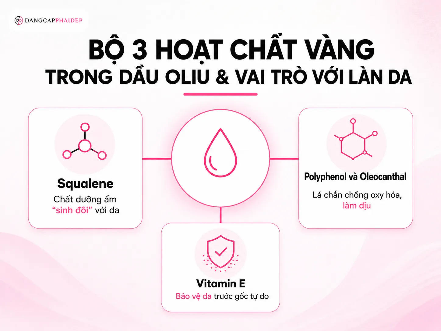 Bộ ba hoạt chất vàng trong dầu ô liu và vai trò trên da