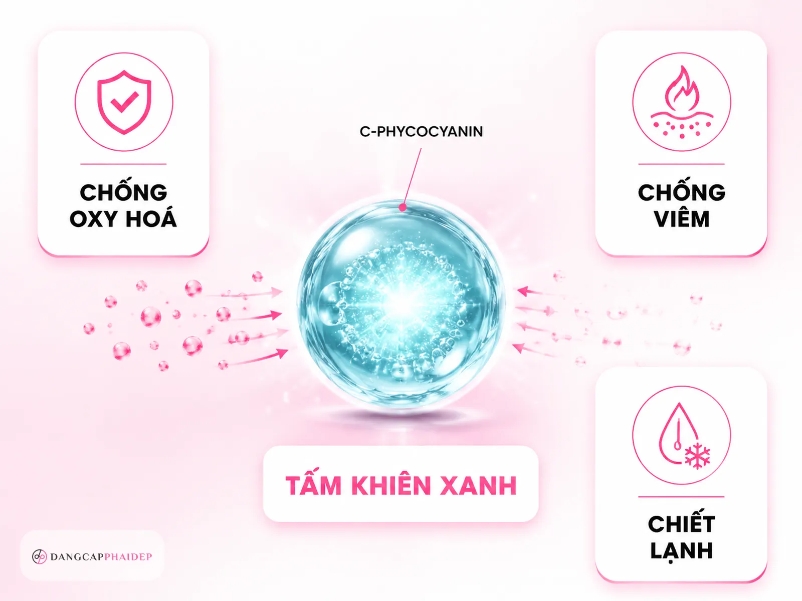 C-phycocyanin: hoạt chất cốt lõi tạo nên tác dụng của tảo xoắn