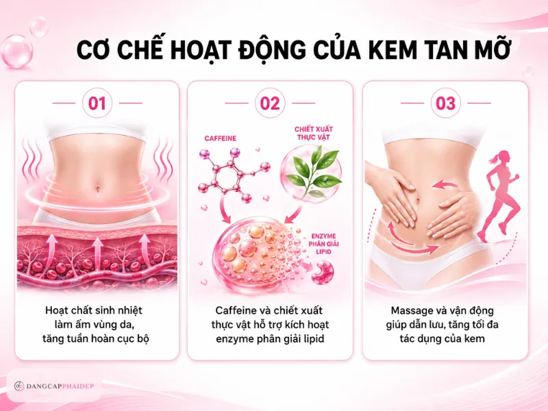 02-co-che-hoat-dong-cua-kem-tan-mo