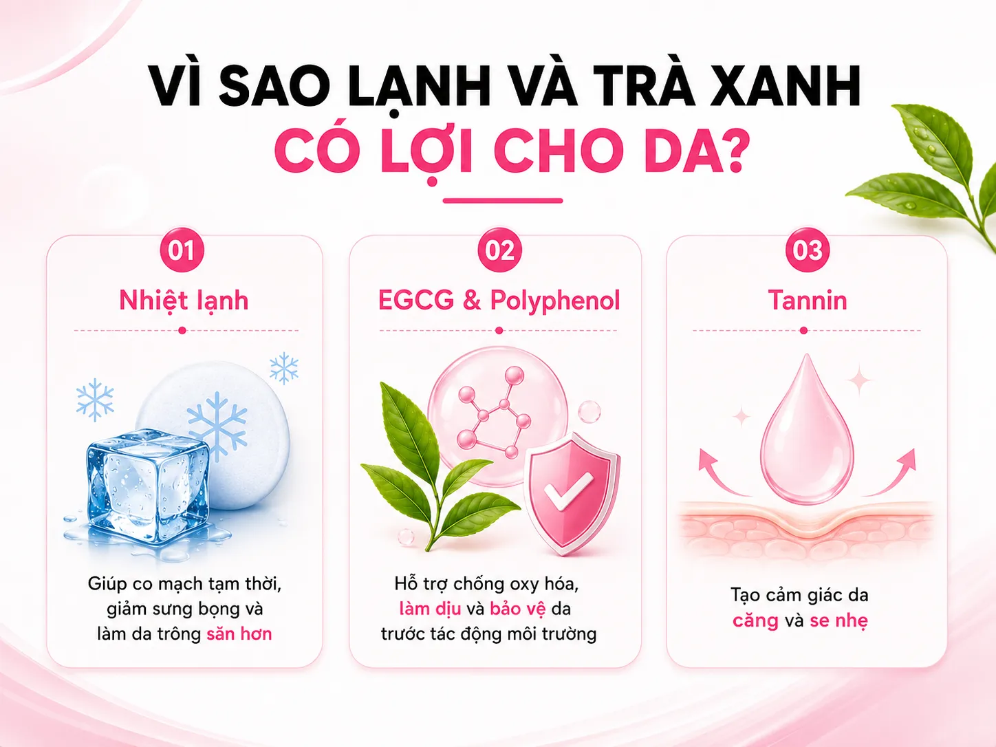 Cơ chế khoa học: vì sao lạnh và trà xanh tốt cho da