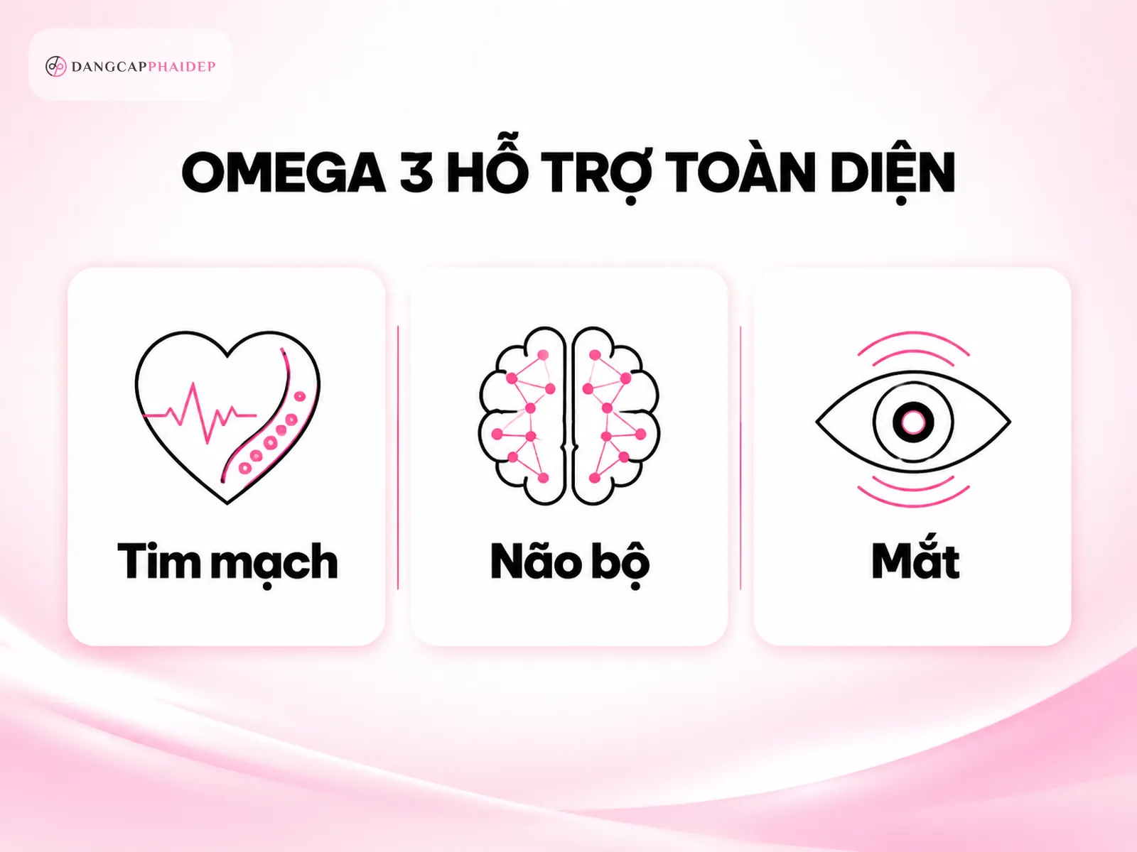 infographic omega 3 EPA DHA tim mach nao bo mat loi ich suc khoe
