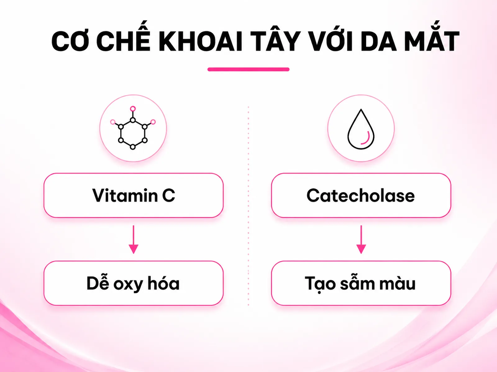 Khoai tây làm mờ thâm quầng mắt được không? Sự thật khoa học