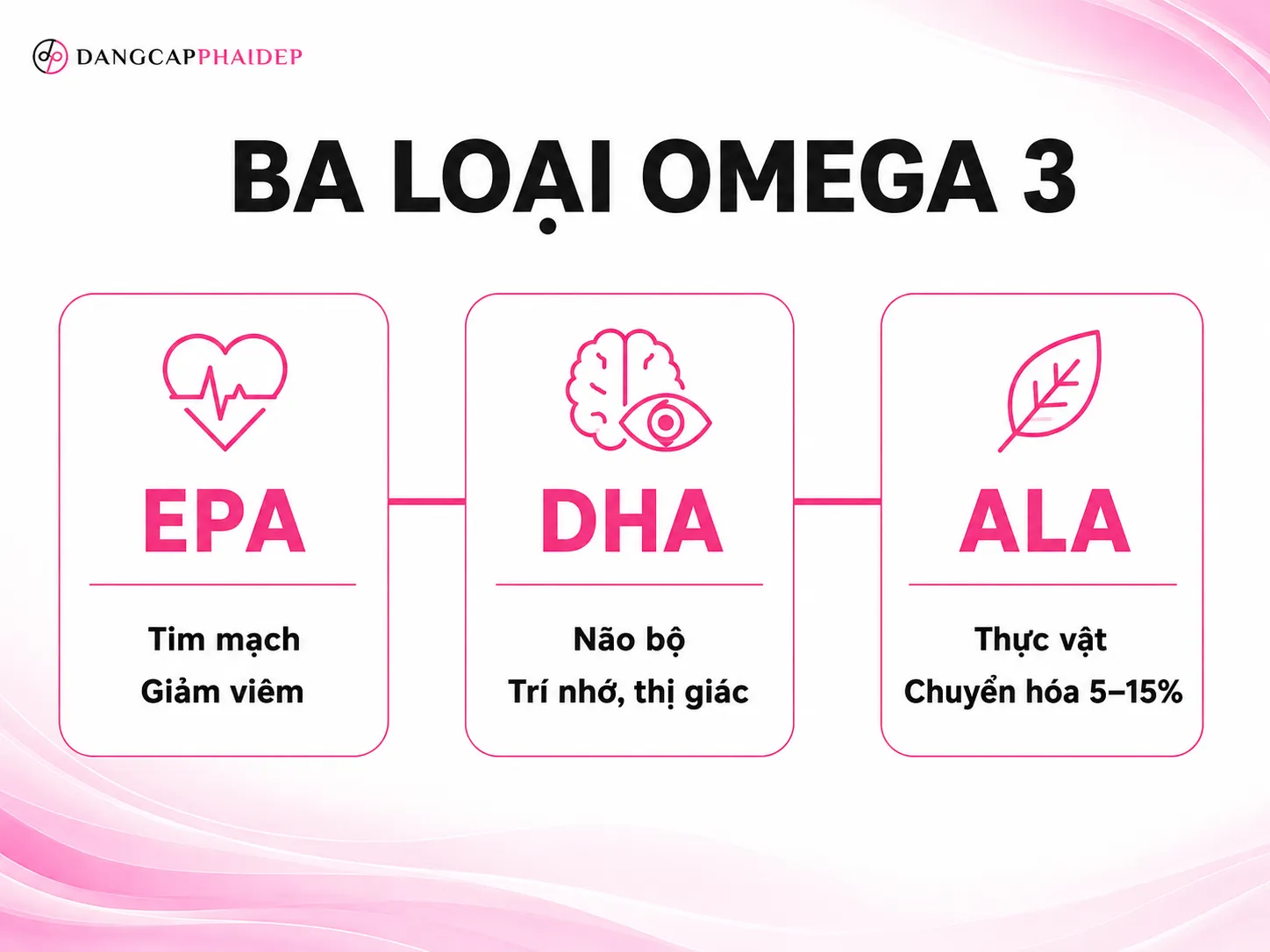 Omega 3 là gì? Ba loại EPA, DHA, ALA và vai trò khác nhau