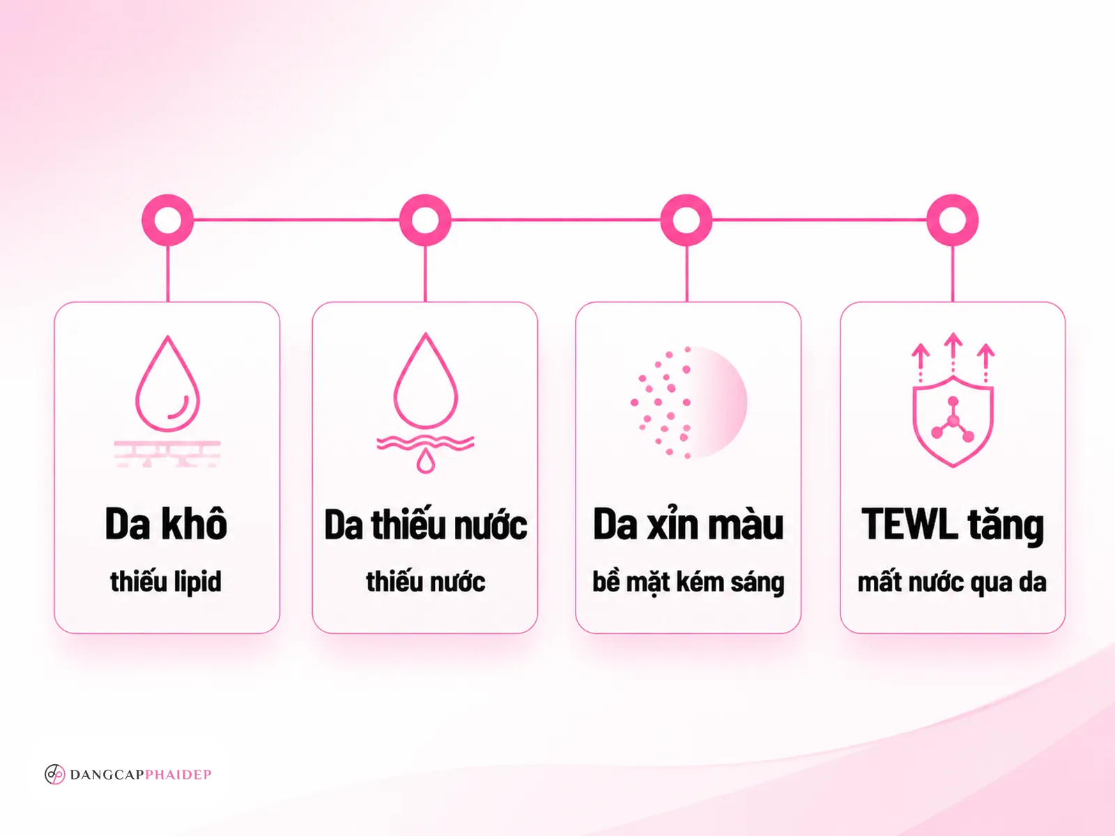 02-phan-biet-da-kho-da-thieu-nuoc-va-da-xin-mau