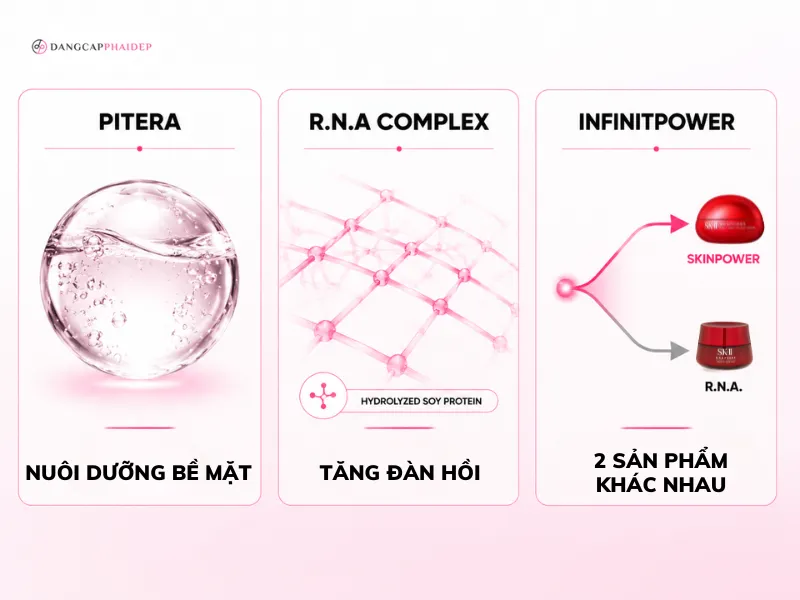 02-phan-tich-thanh-phan-pitera-radical-new-age-complex-va-cong