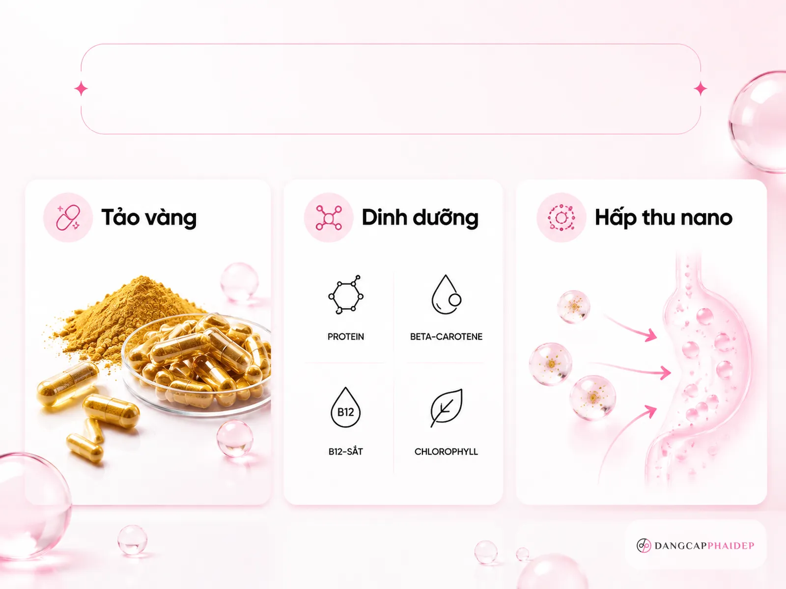 Tảo vàng là gì và khác gì tảo xoắn thường?
