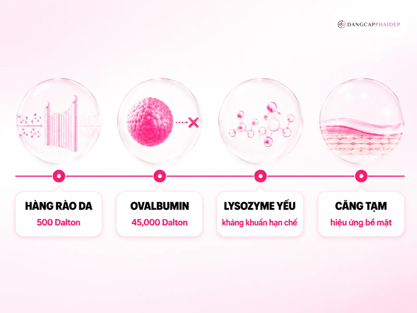 Trứng gà tác động lên da như thế nào? Giải mã ở cấp độ phân tử