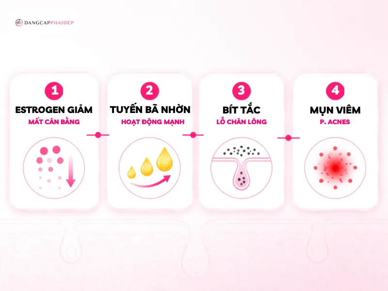 02-vi-sao-da-noi-mun-khi-den-thang-cau-chuyen-cua-estrogen-va-p.png