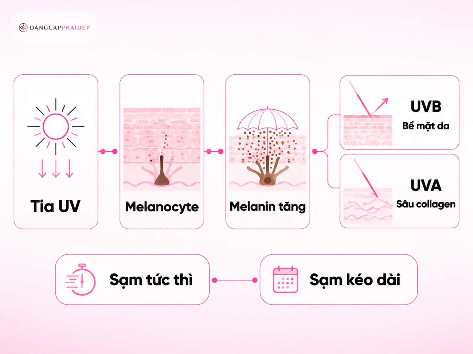 Vì sao da sạm đen sau khi cháy nắng? Cơ chế melanin và tổn thương UV