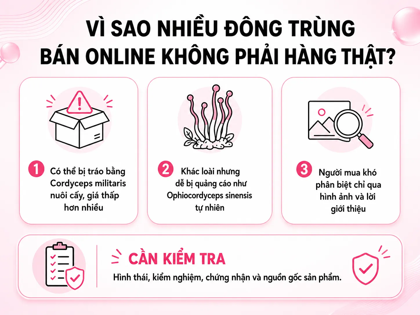 so sánh đông trùng hạ thảo thật giả Cordyceps militaris và Ophiocordyceps sinensis hơn 50% mẫu bị tráo