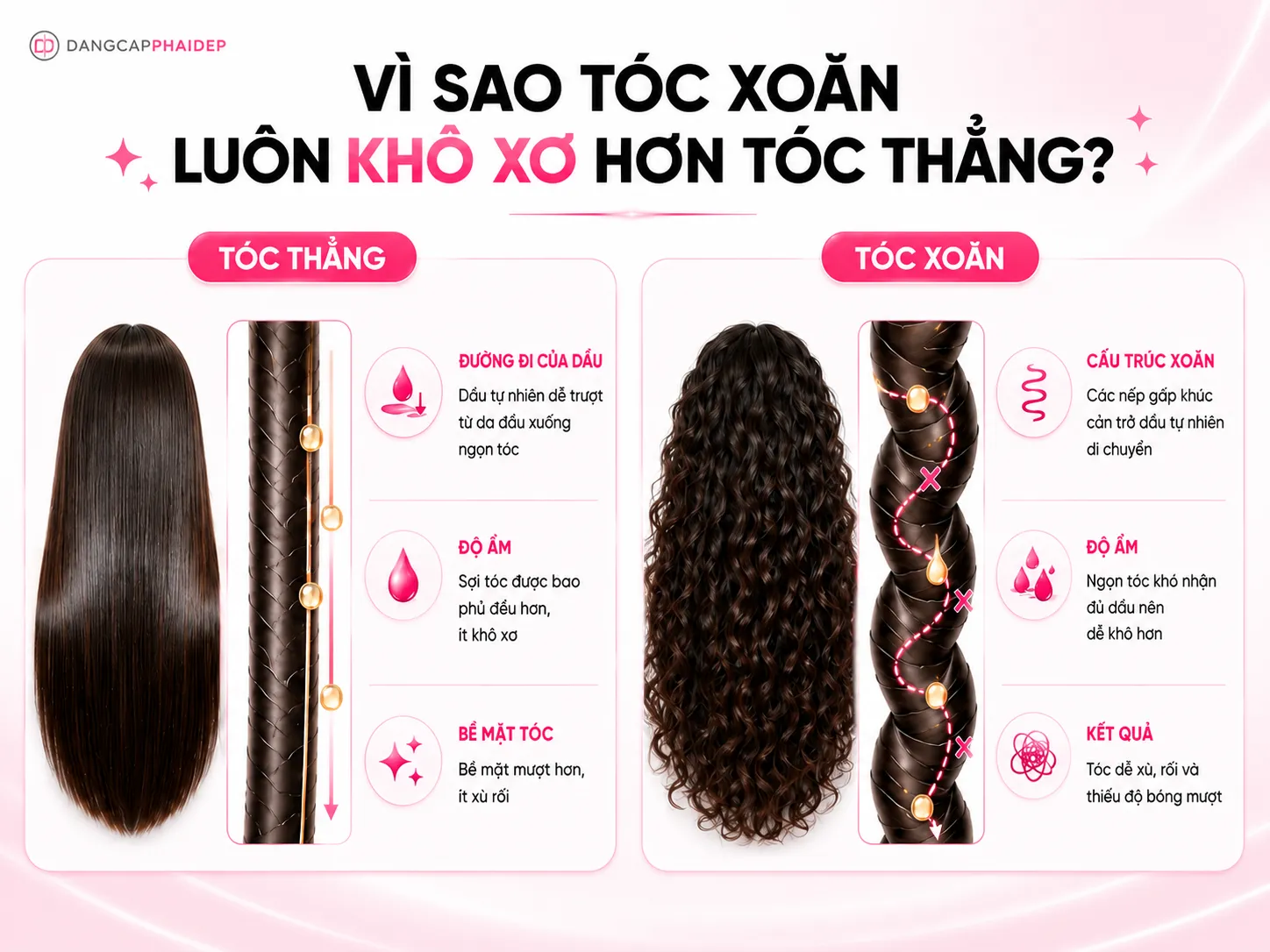 Vì sao tóc xoăn luôn khô xơ hơn tóc thẳng?