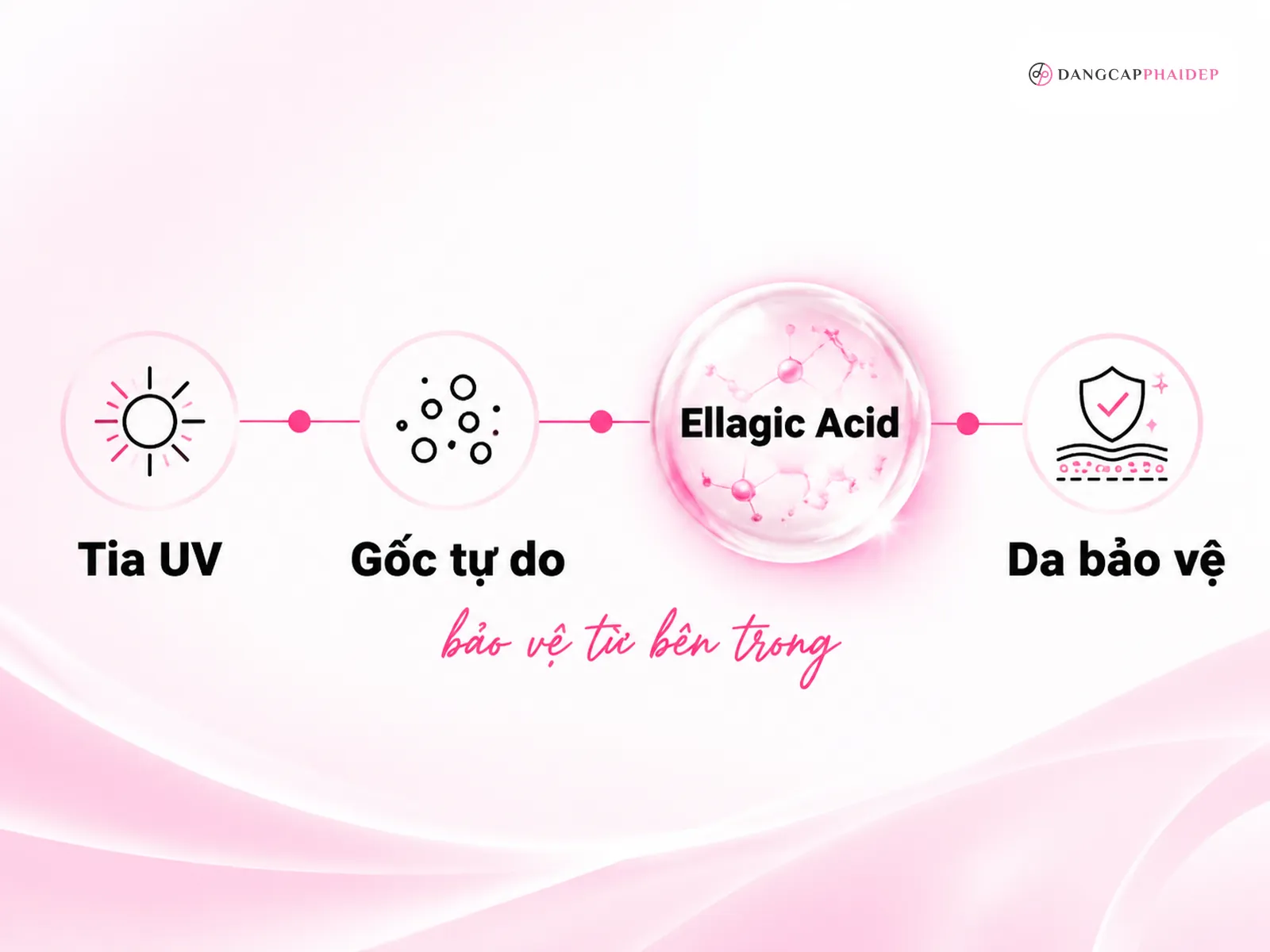 Viên uống chống nắng Murad là gì và cơ chế bảo vệ nội sinh hoạt động ra sao?