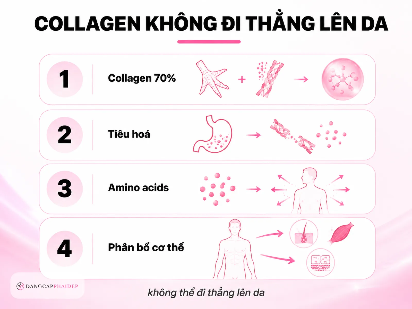 70% đạm là collagen: sự thật về "ăn chân gà đẹp da"