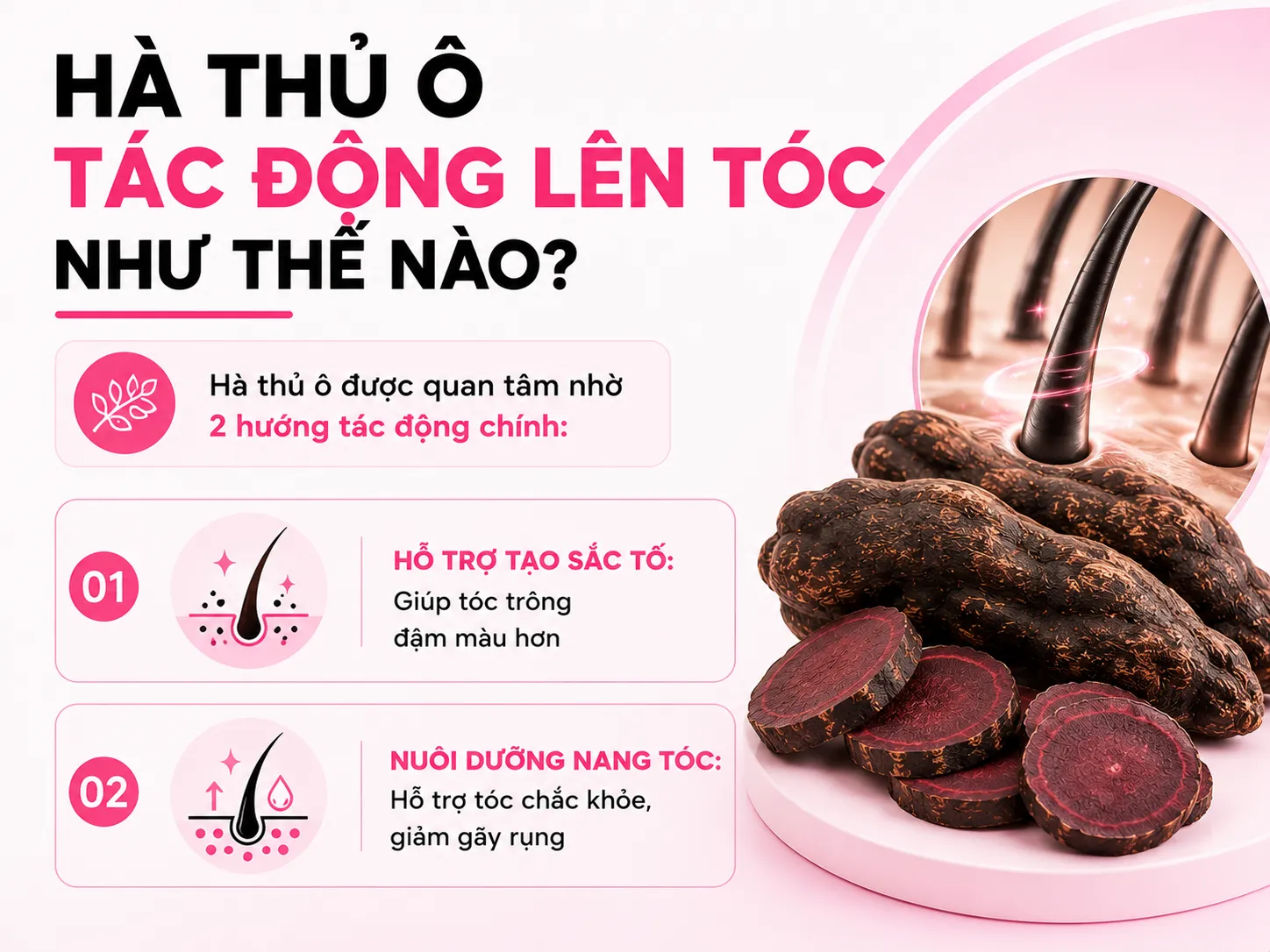 Bằng chứng khoa học: hà thủ ô tác động lên tóc như thế nào?