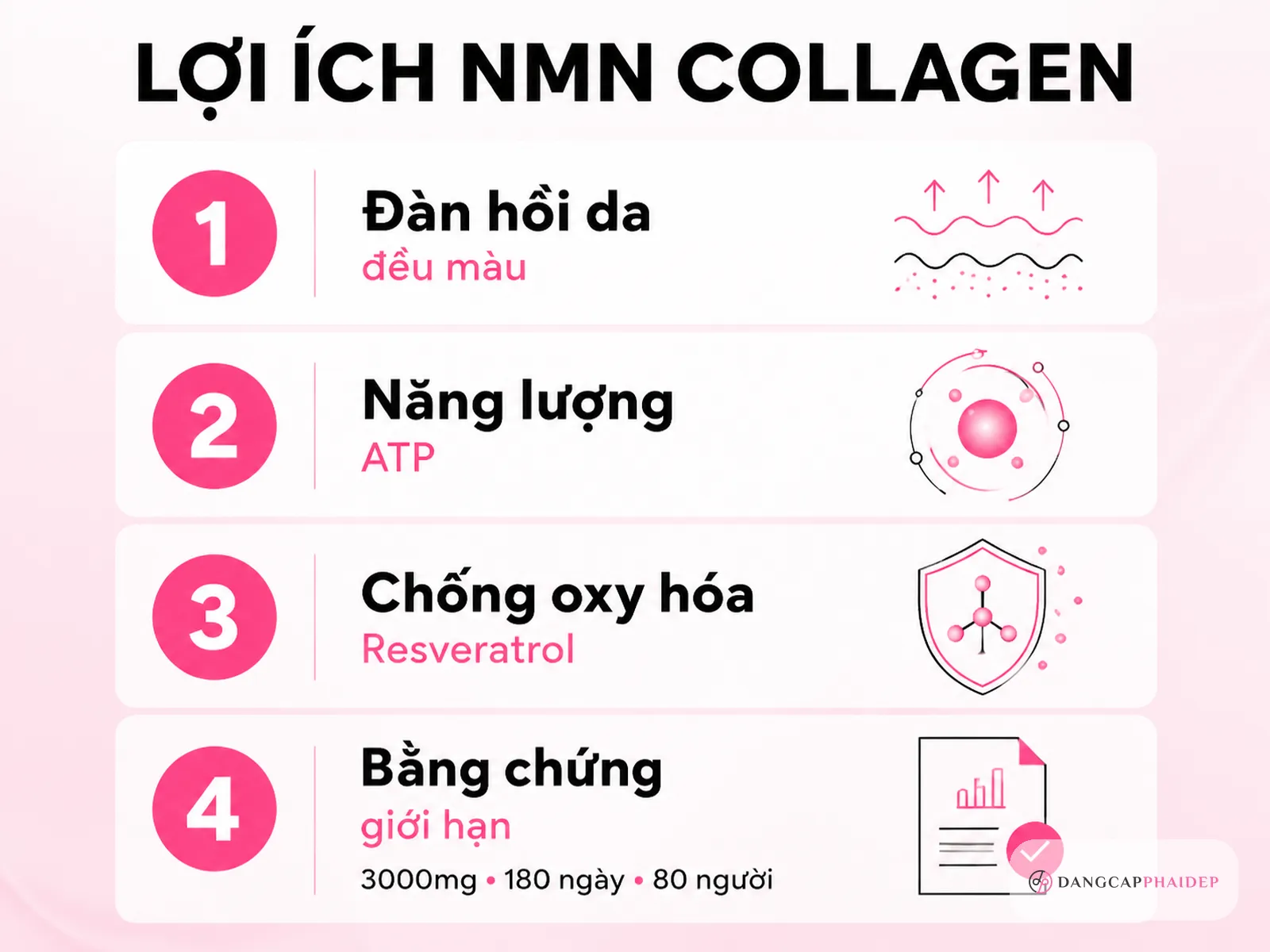 Infographic collagen NMN lợi ích đàn hồi da năng lượng chống oxy hóa và bằng chứng hạn chế