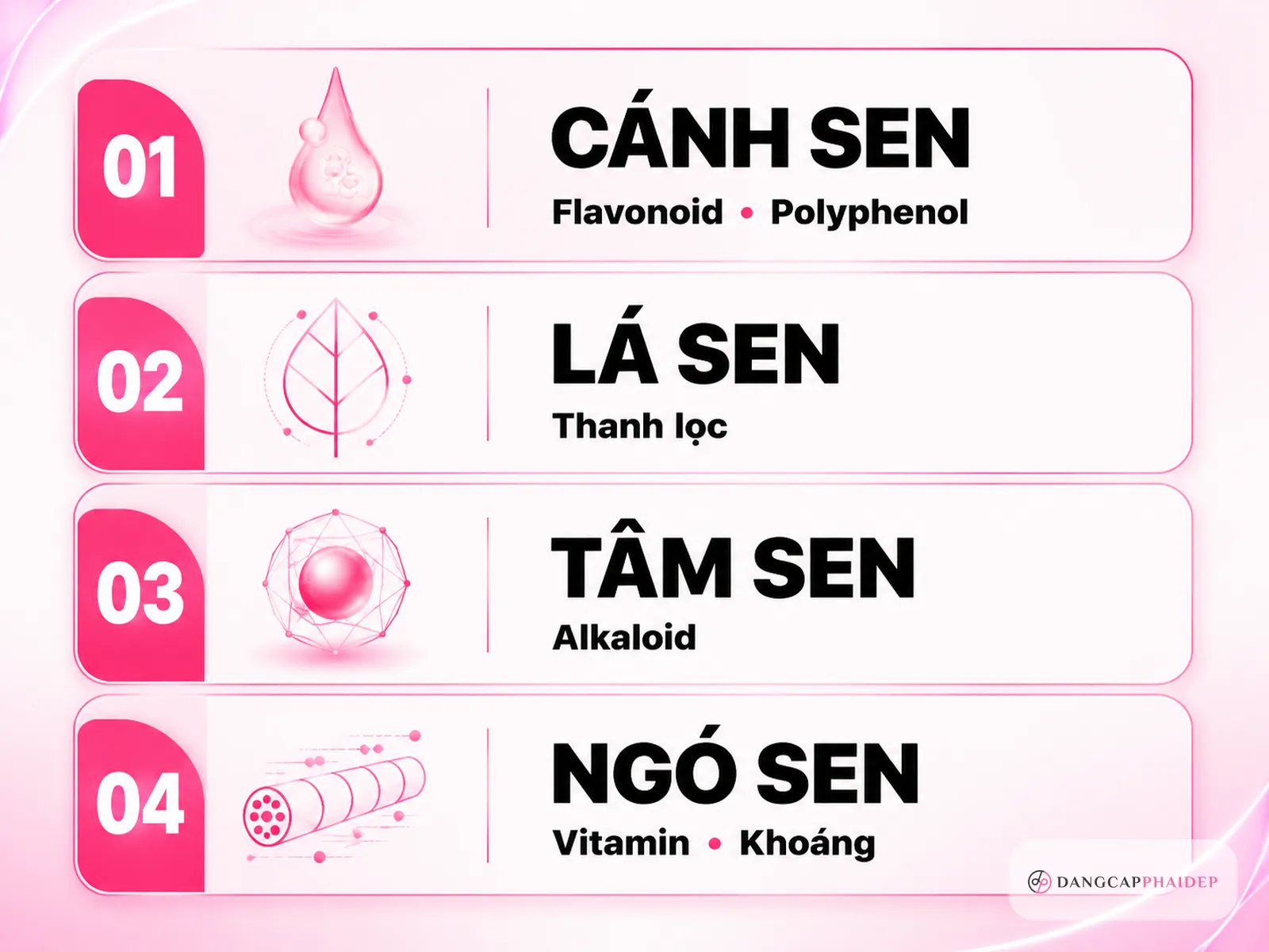 so sánh cánh sen lá sen tâm sen ngó sen tác dụng làm đẹp da