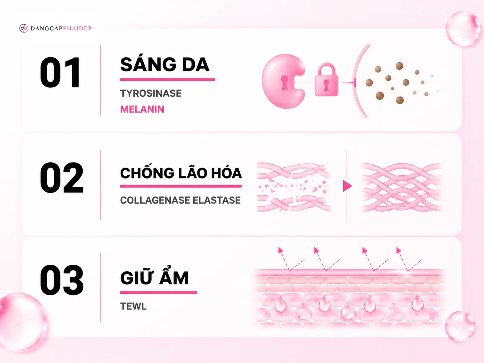 Công dụng làm đẹp của quả sung dưới góc nhìn khoa học