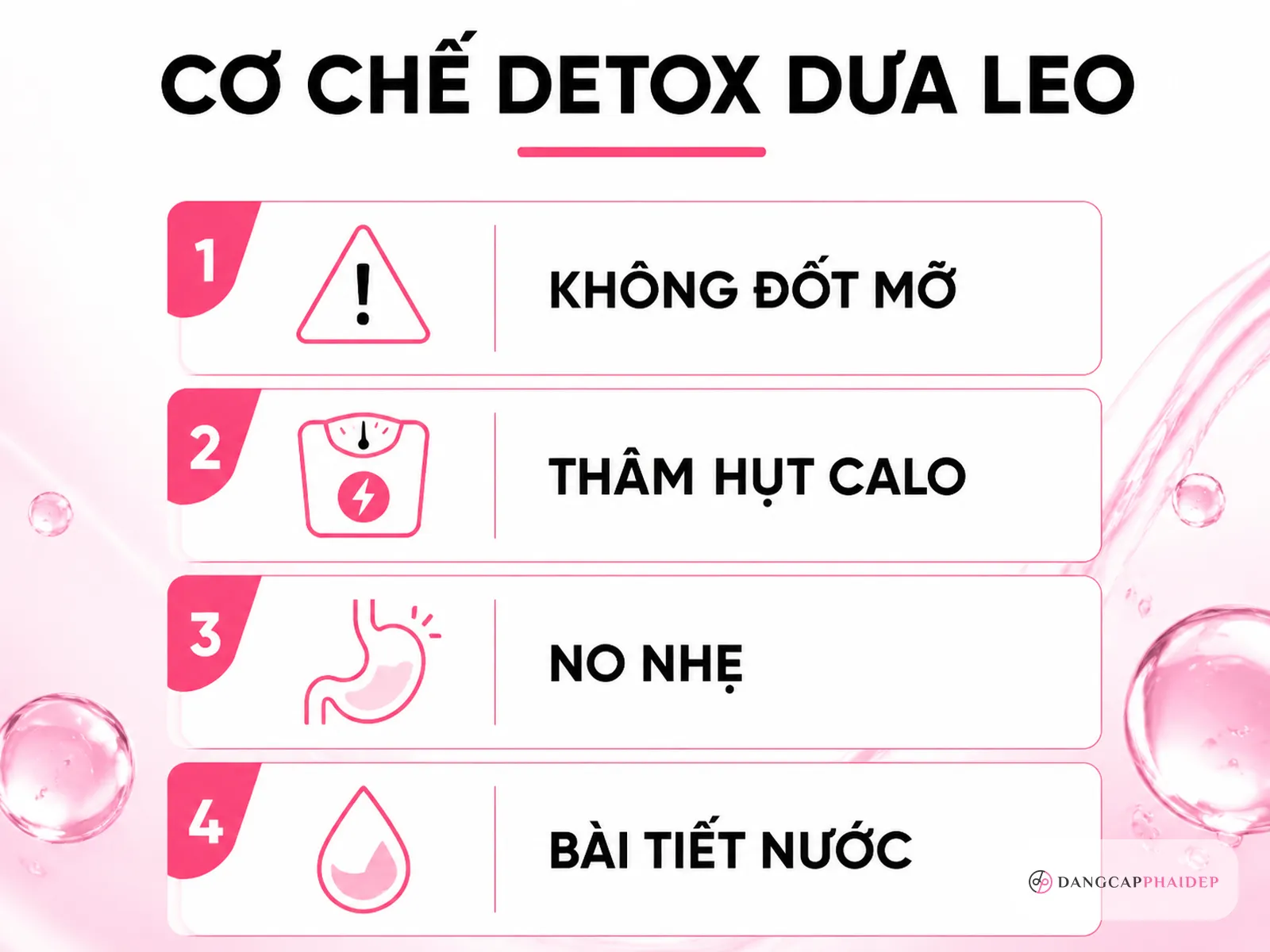 infographic cơ chế detox dưa leo và giảm cân thực tế thâm hụt calo no nhẹ bài tiết nước