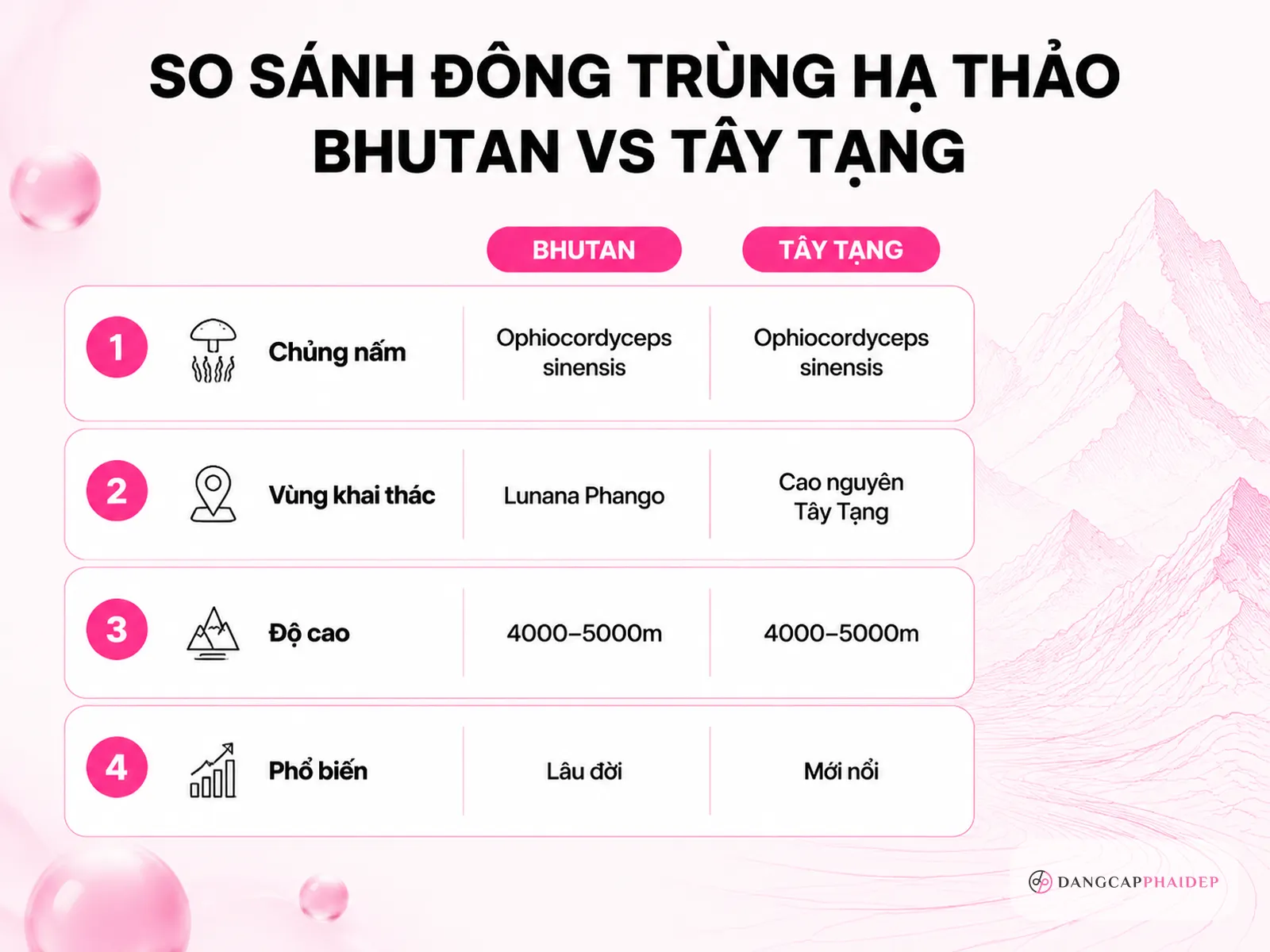 So sánh đông trùng hạ thảo Bhutan và Tây Tạng: vùng nguyên liệu tạo khác biệt gì