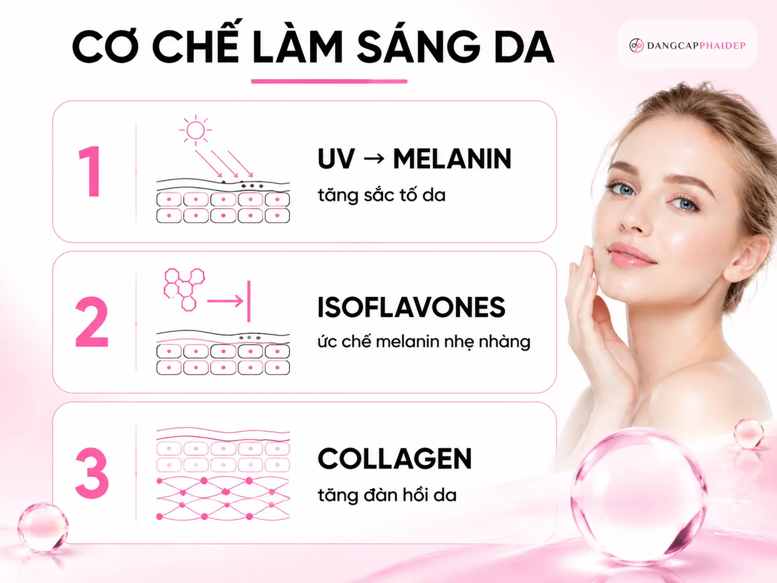 Tác dụng của bột đậu nành với làn da: làm sáng, chống lão hóa