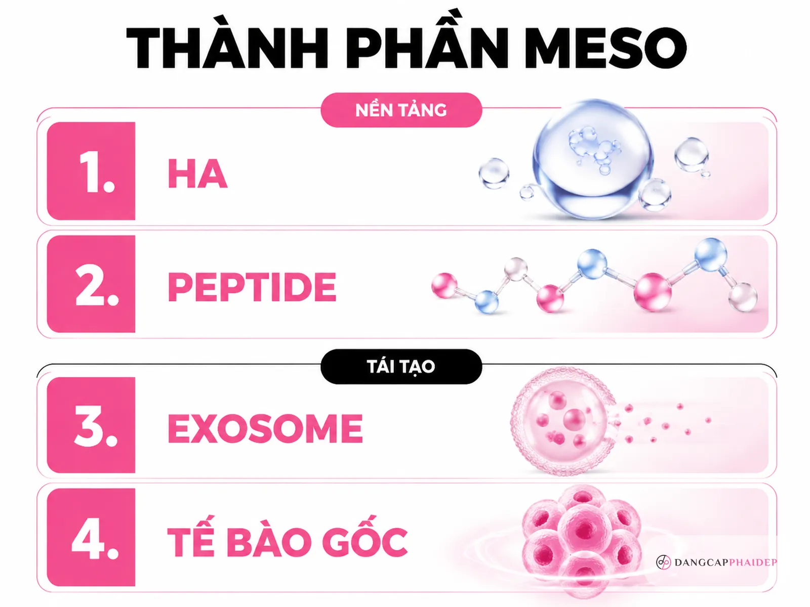 Tinh chất trong meso extra gồm những gì