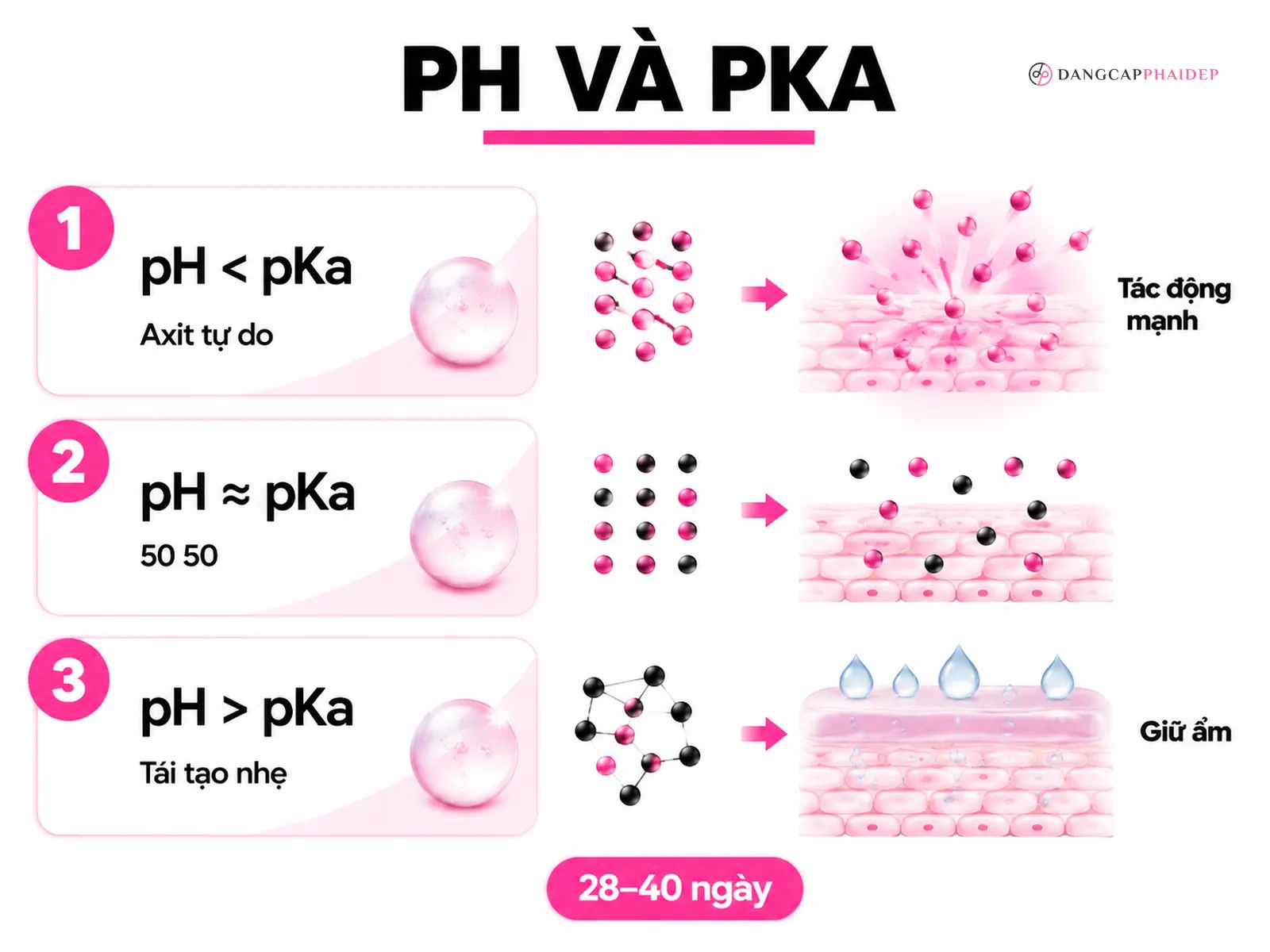 Vì sao da không bong mà vẫn được tái tạo? Cơ chế pH và pKa