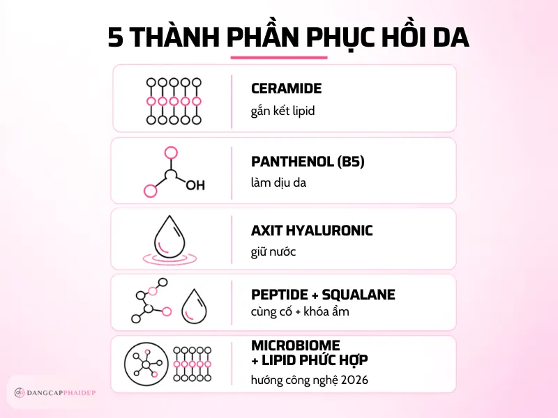 04-5-thanh-phan-phuc-hoi-hang-rao-da-va-co-che-hoat-dong