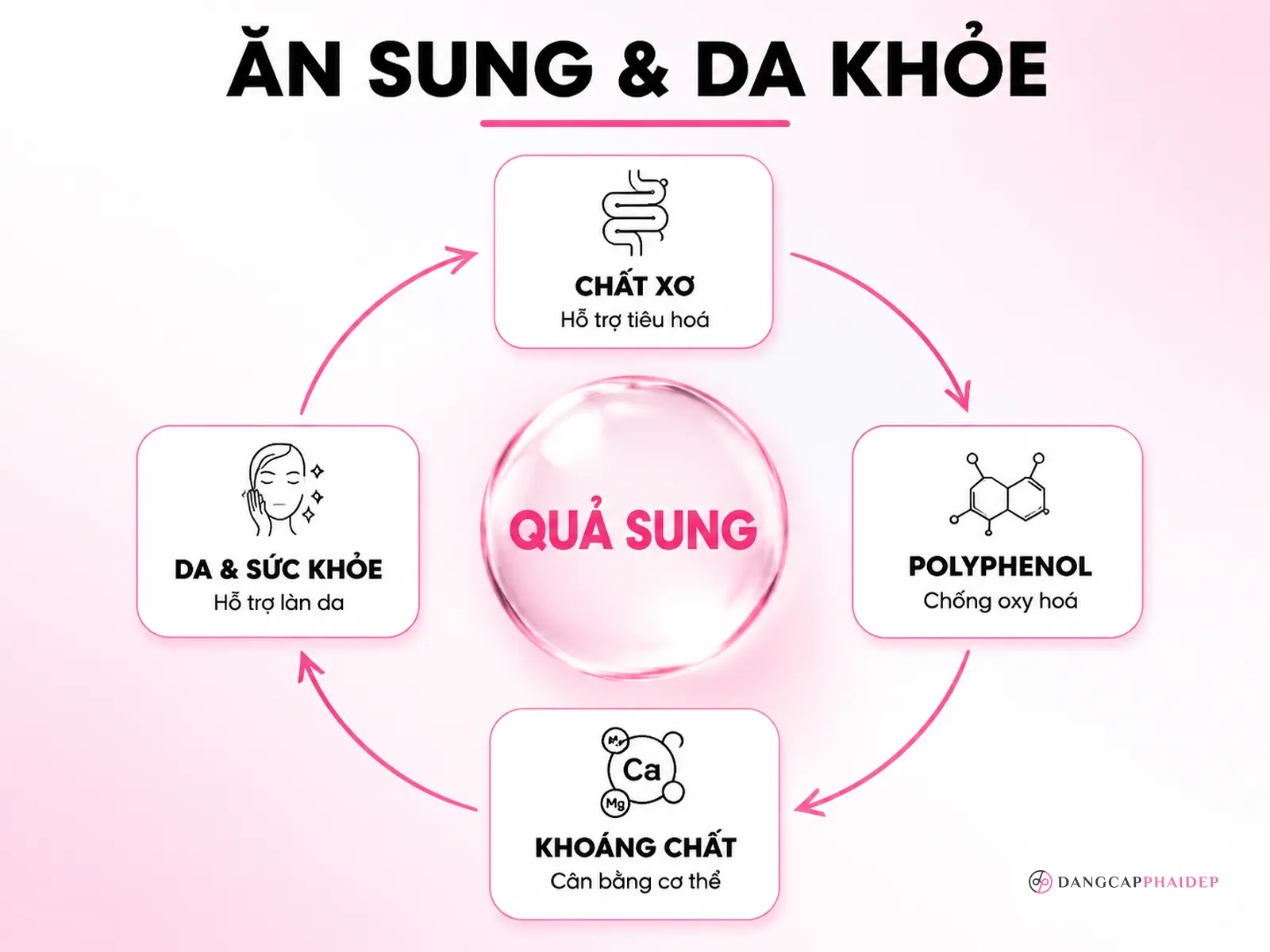 Ăn quả sung hỗ trợ làm đẹp từ bên trong: lợi ích và giới hạn