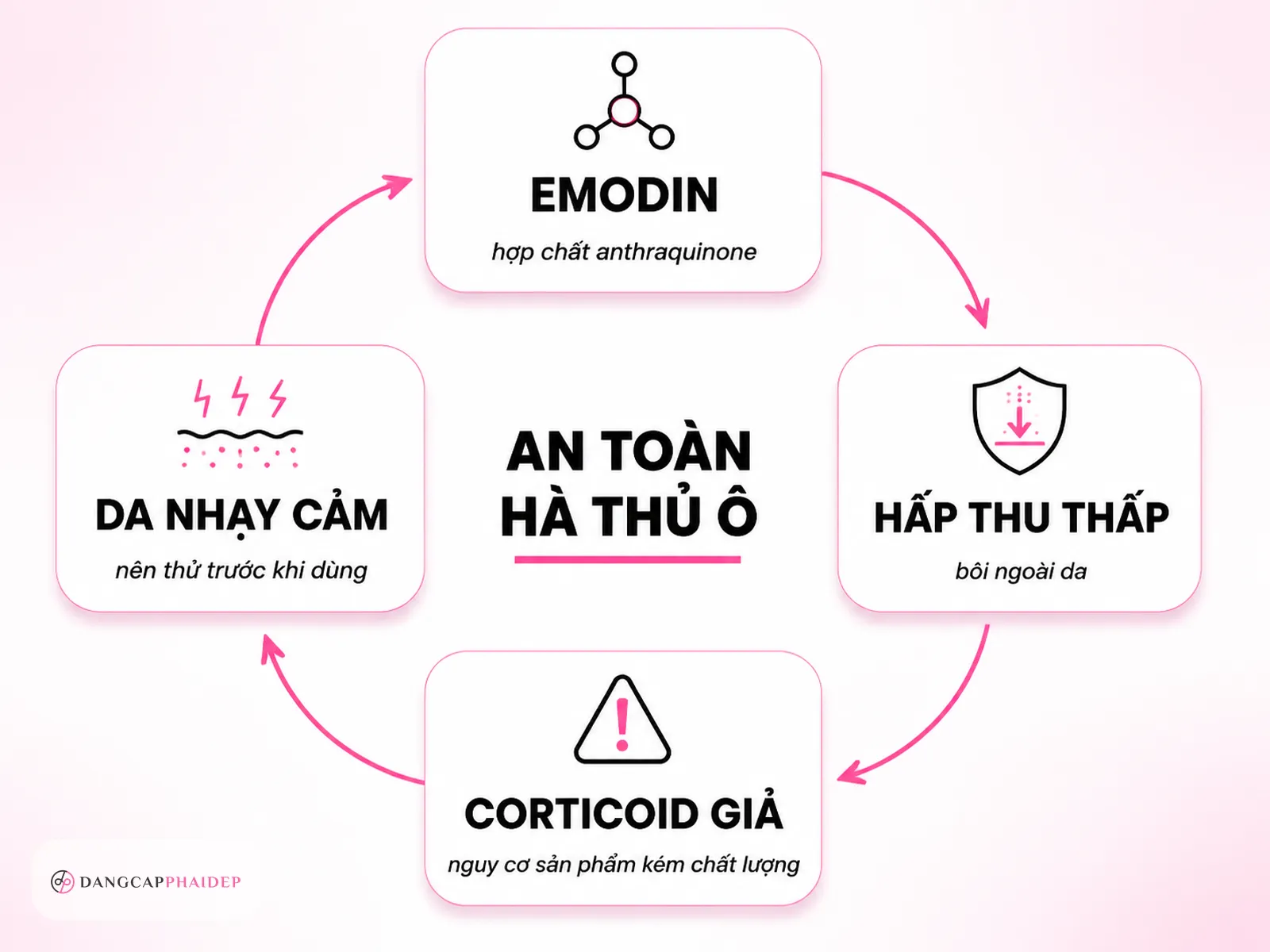 An toàn khi dùng: Emodin và ai cần thận trọng