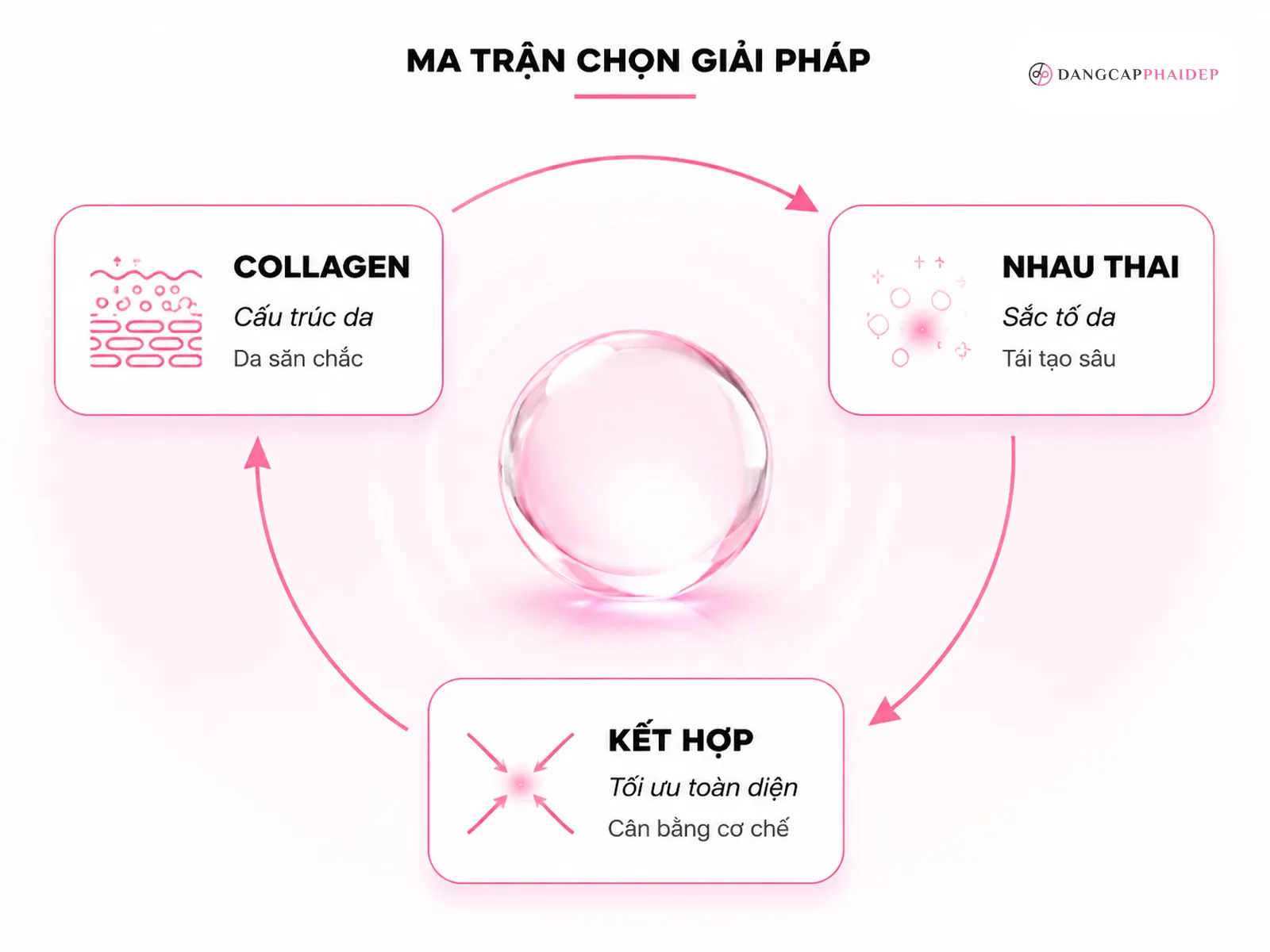 Bạn nên chọn loại nào? Ma trận theo nhu cầu và độ tuổi