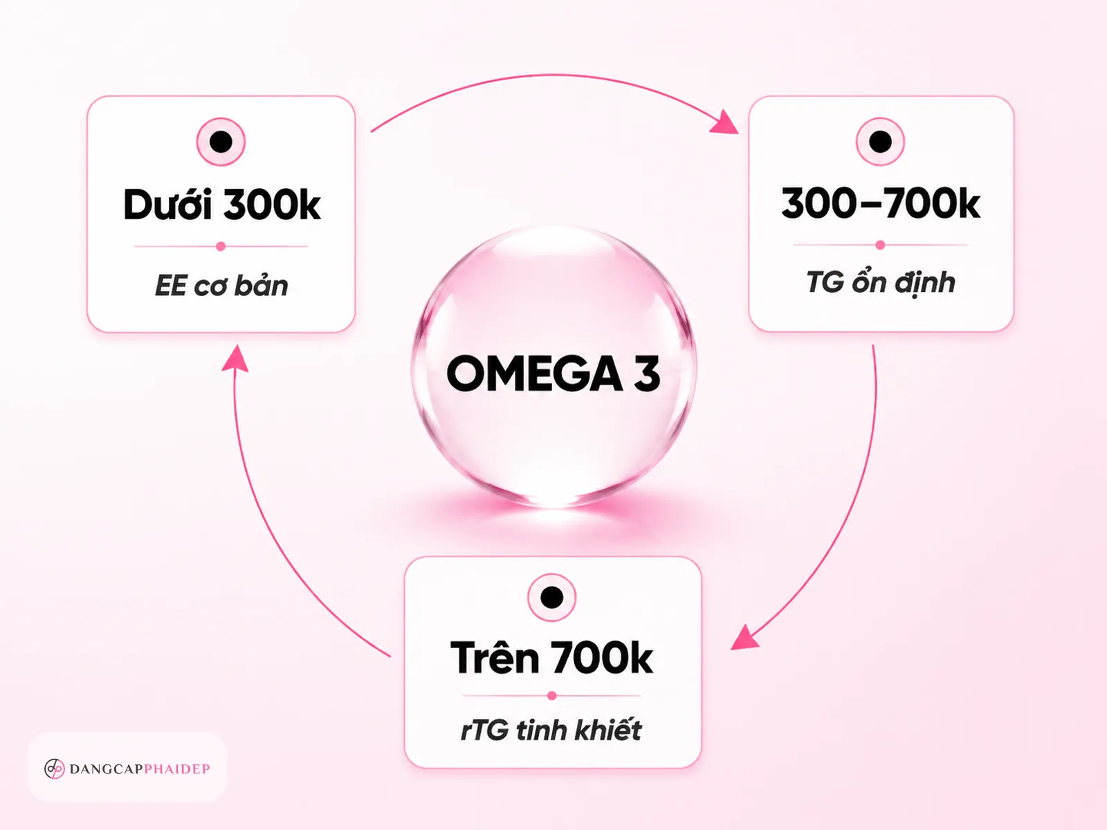 Infographic so sánh 3 phân khúc giá dầu cá omega 3 theo mức ngân sách và dạng tinh khiết