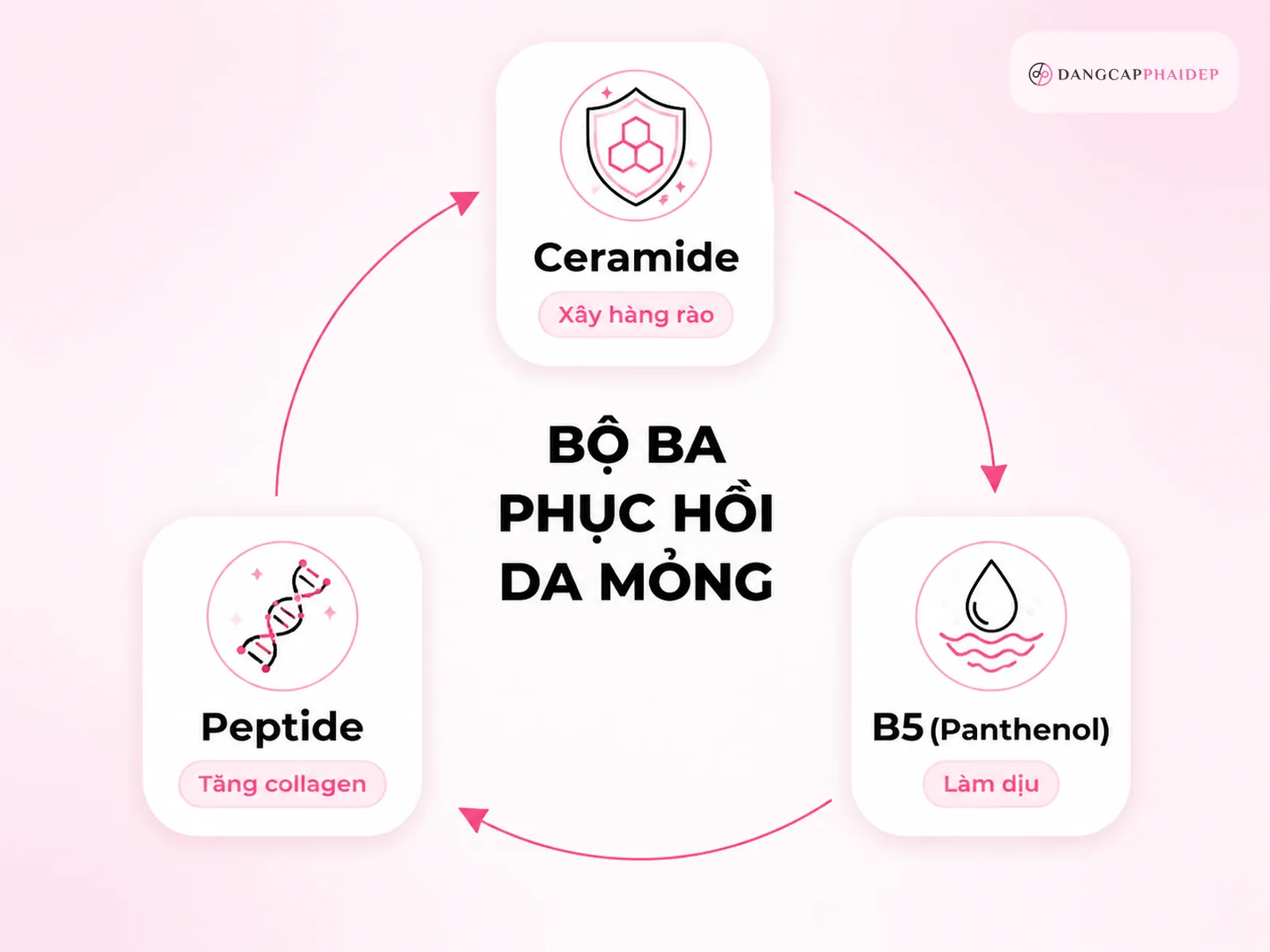 Bộ 3 hoạt chất nền tảng giúp phục hồi da mỏng